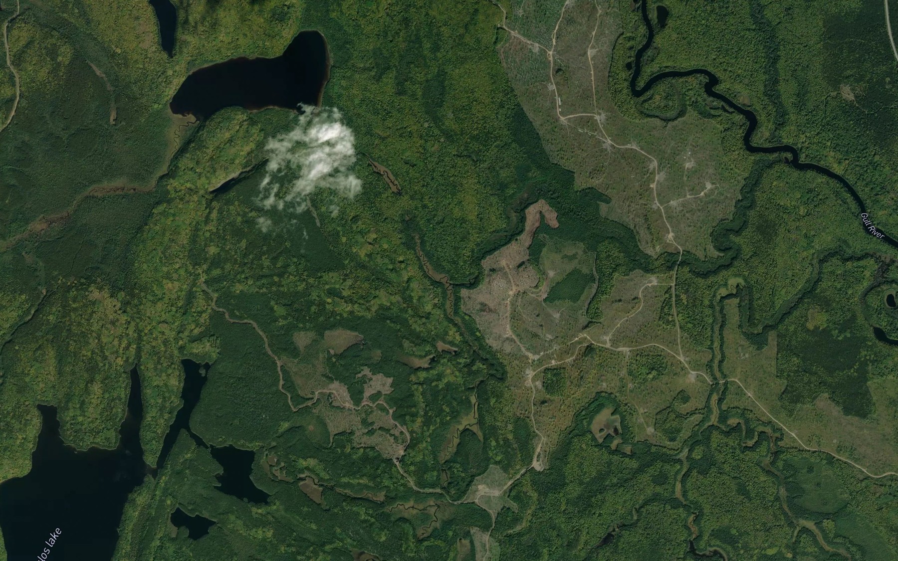 Satellite map of the Crazy Creek