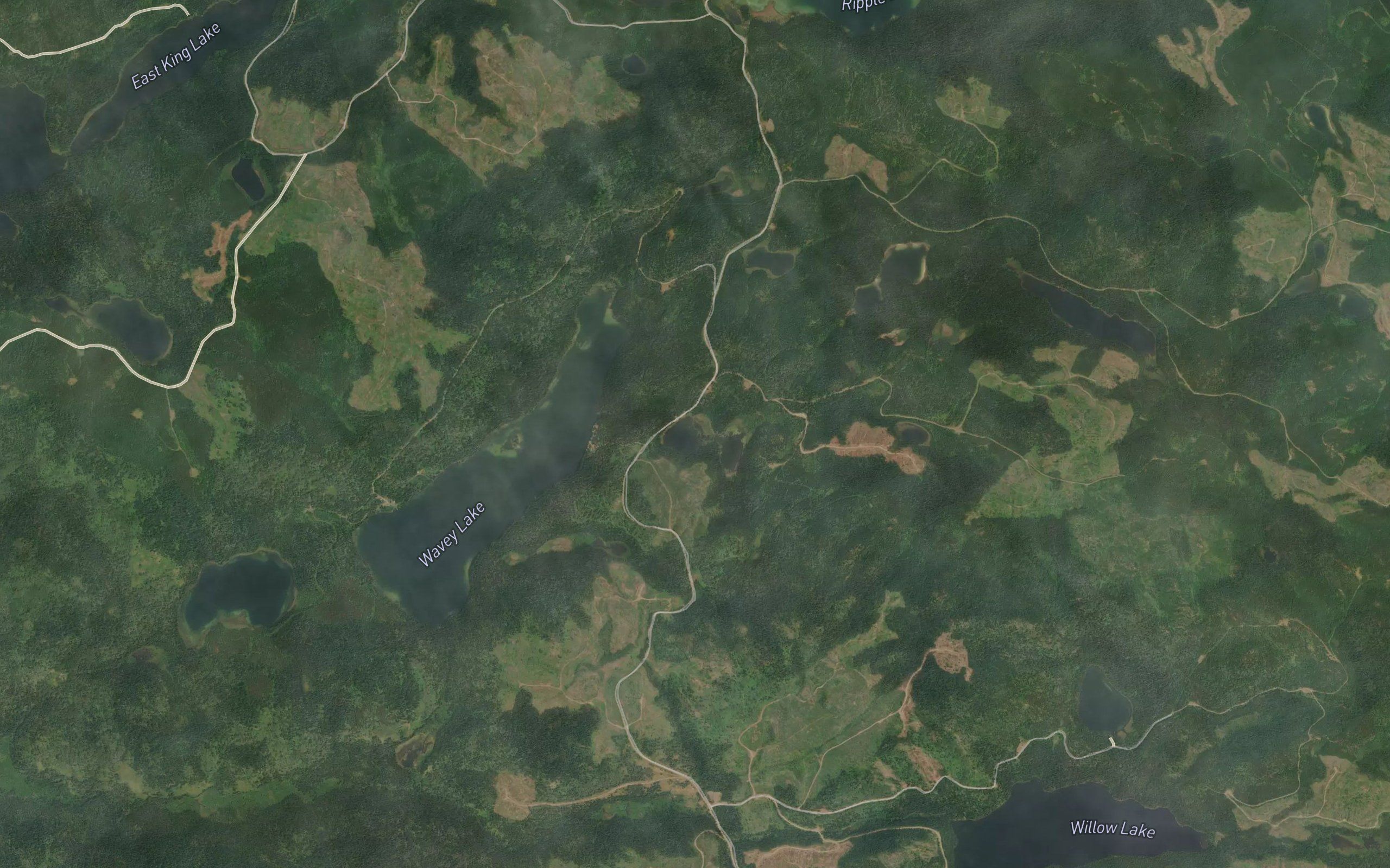 Beartrap Lake