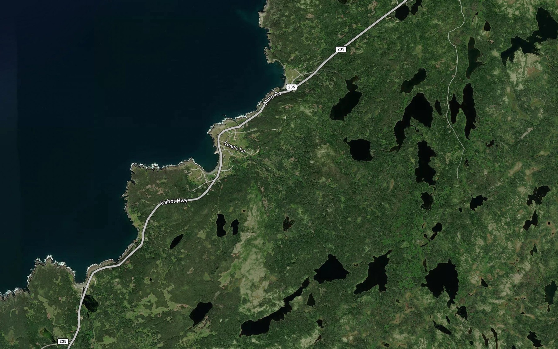 Satellite map of the Birchy Cove