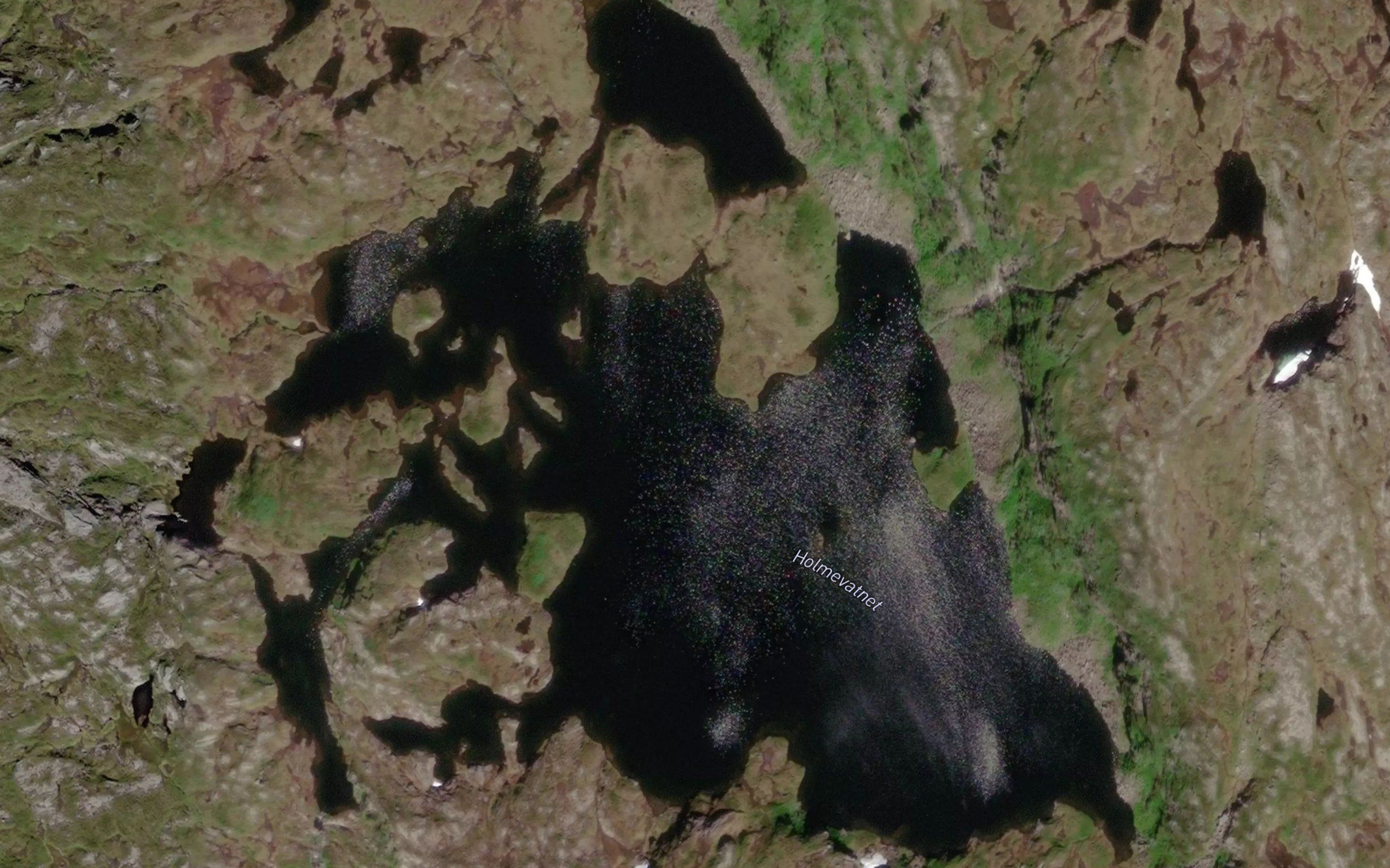 Holmevatnet