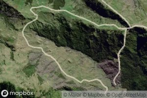 Satellite map of the Waikekakeka Stream