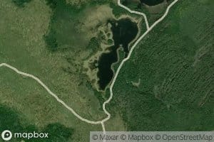 Beaver Pond