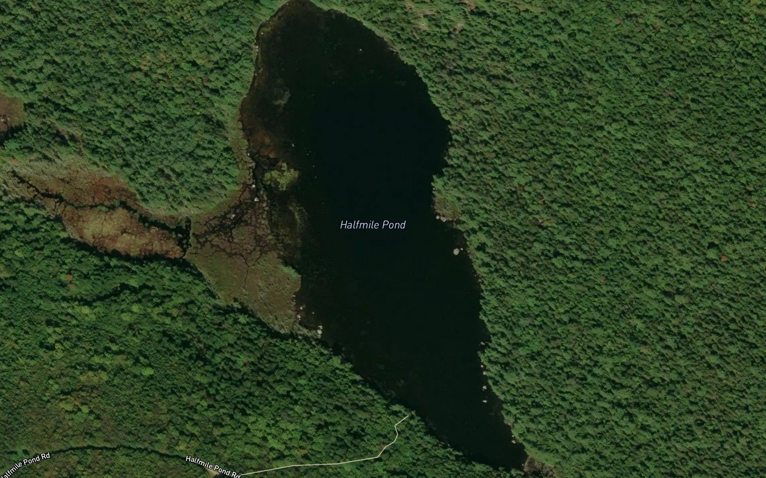 Halfmile Pond