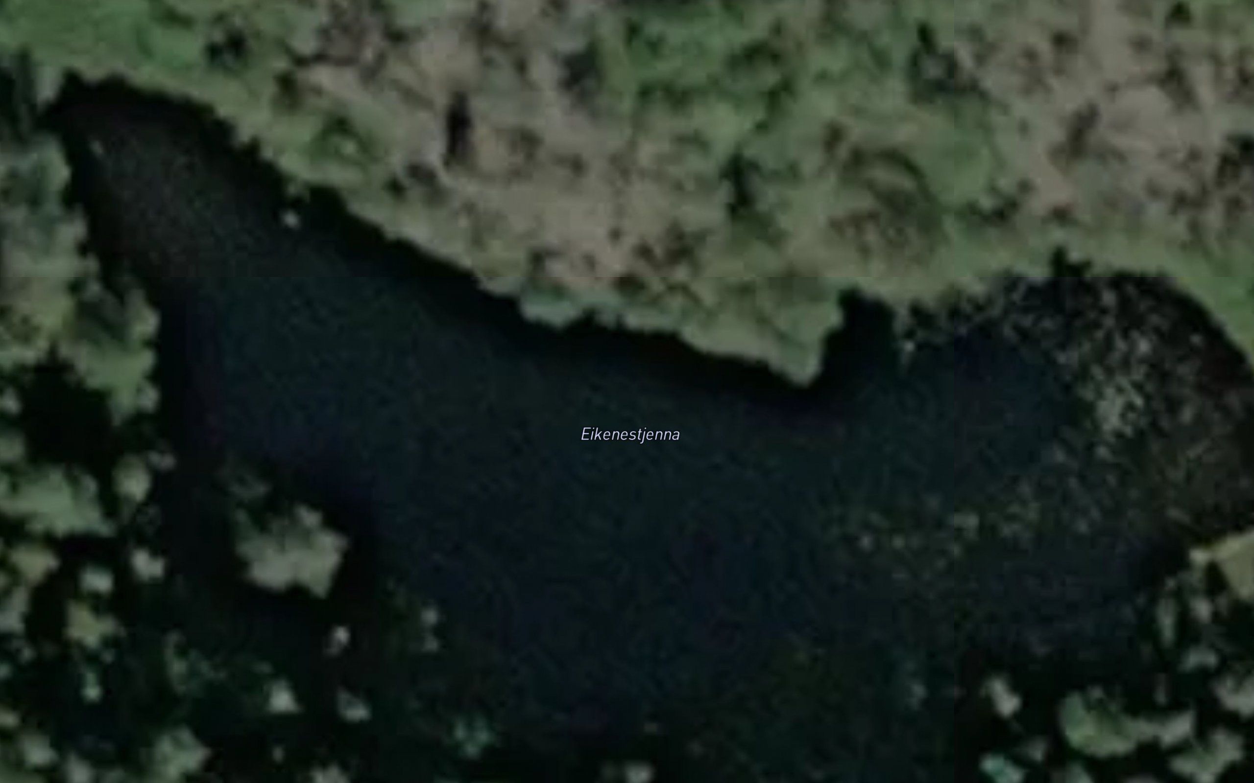 Eikenestjenna