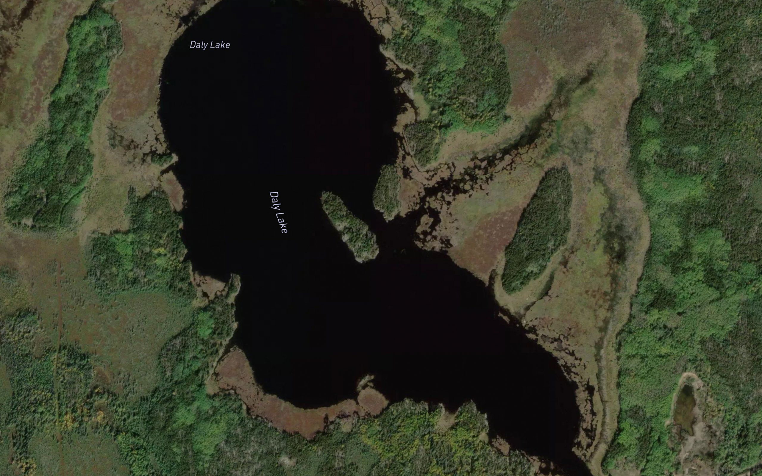 Daly Lake