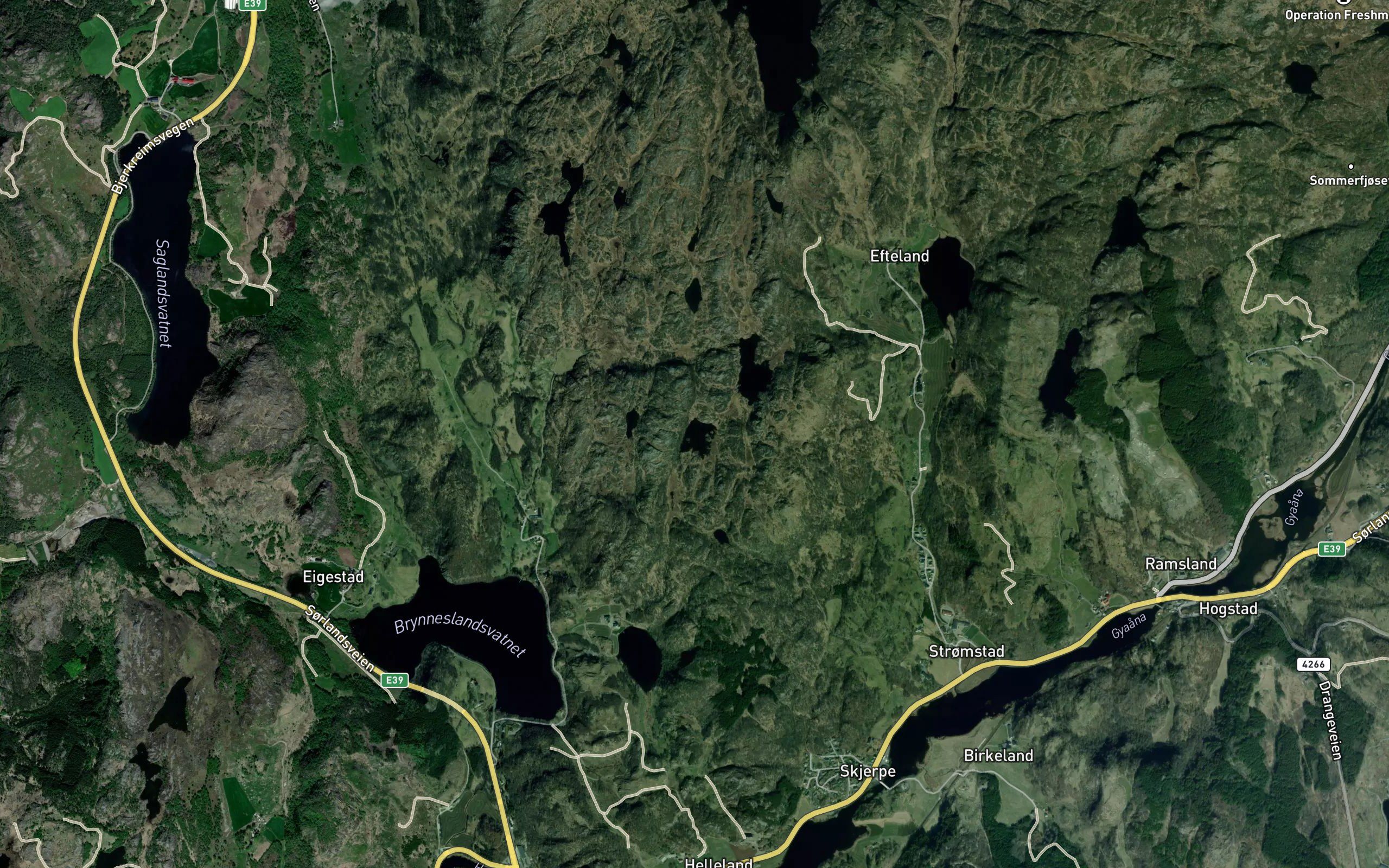 Holmatjorn