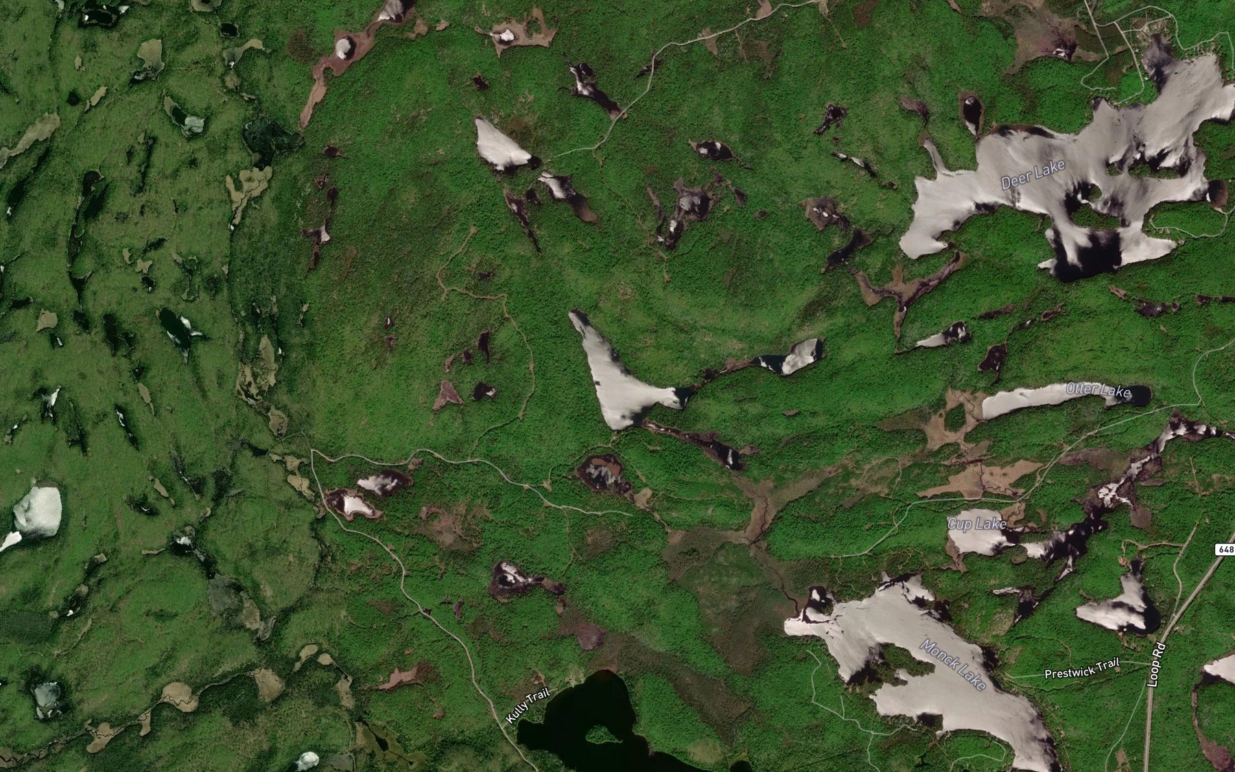 Satellite map of the Sandy Lake