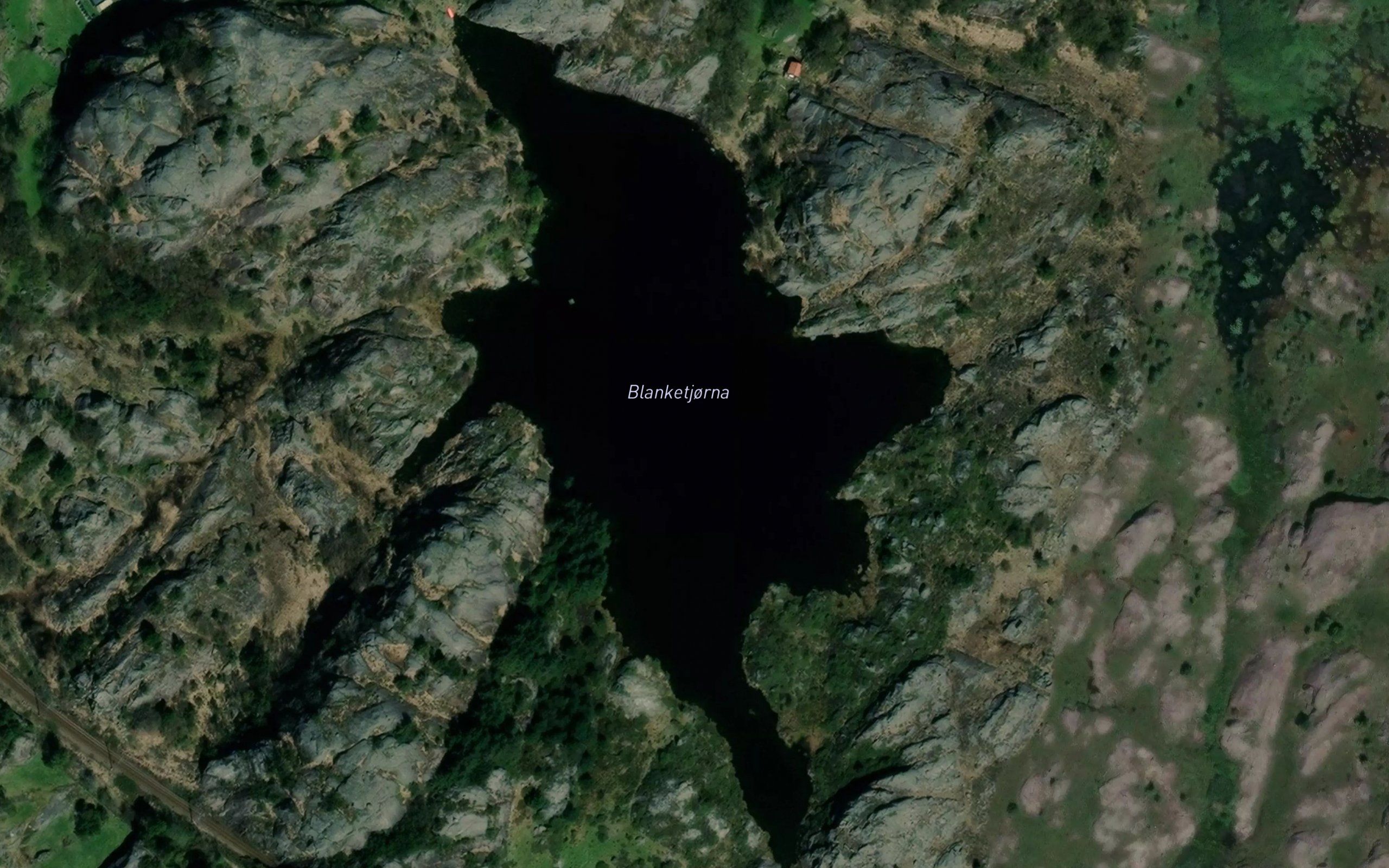 Blanketjorna