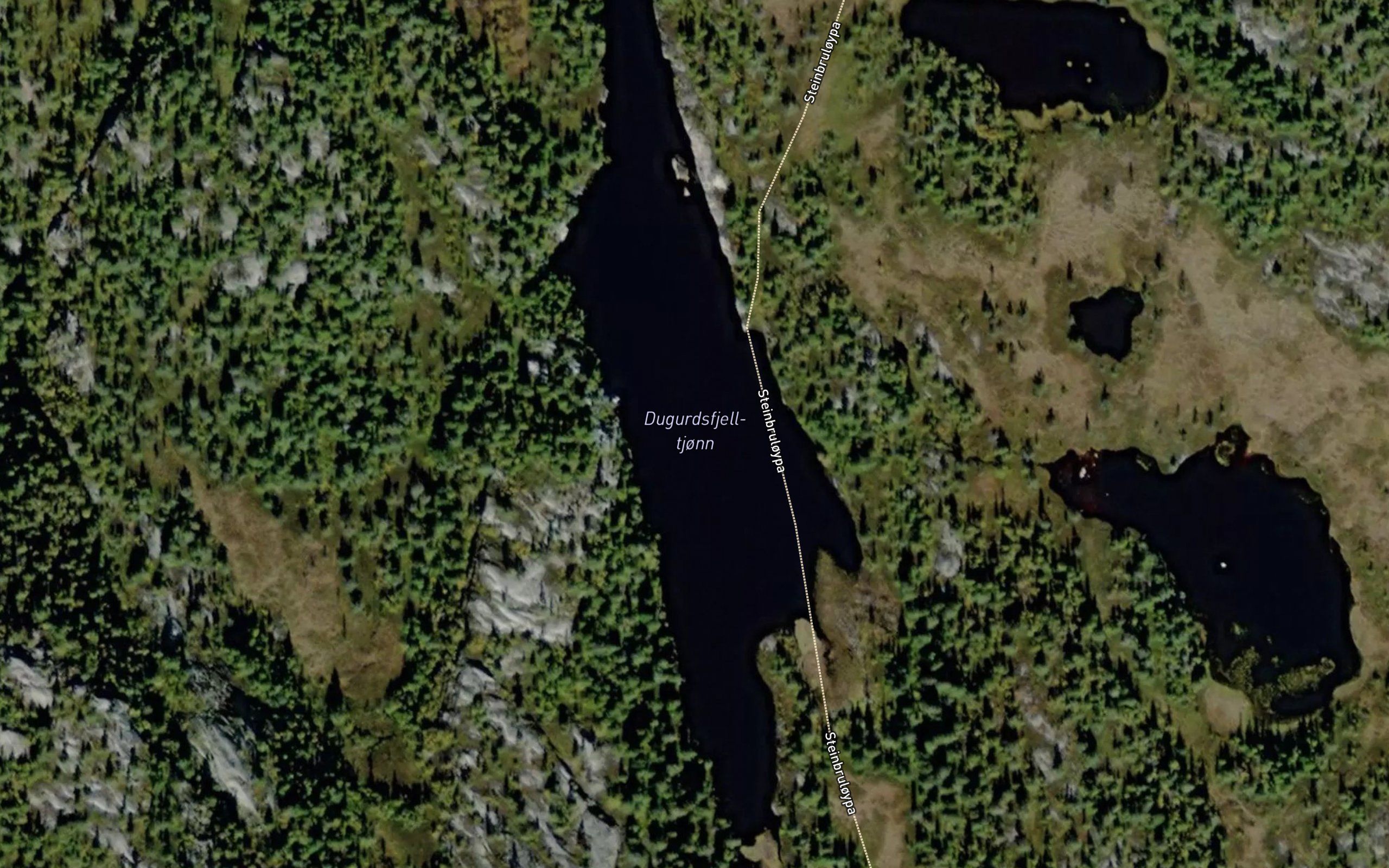 Dugurdsfjell-tjonn