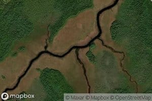 Big Wallamatogue Stream