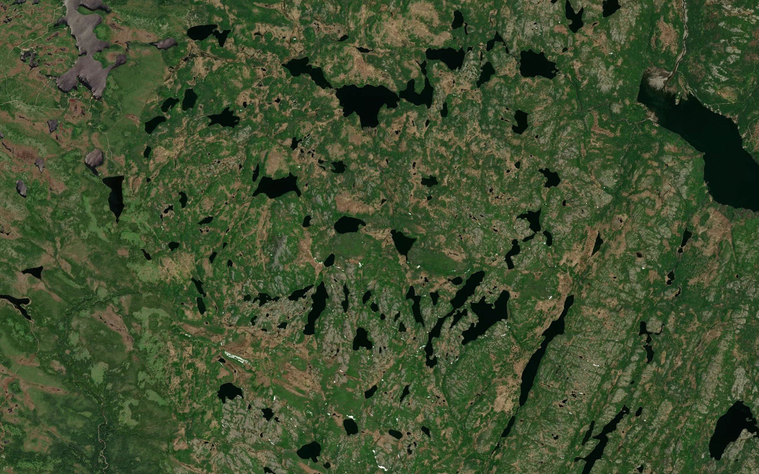 Dam Ponds