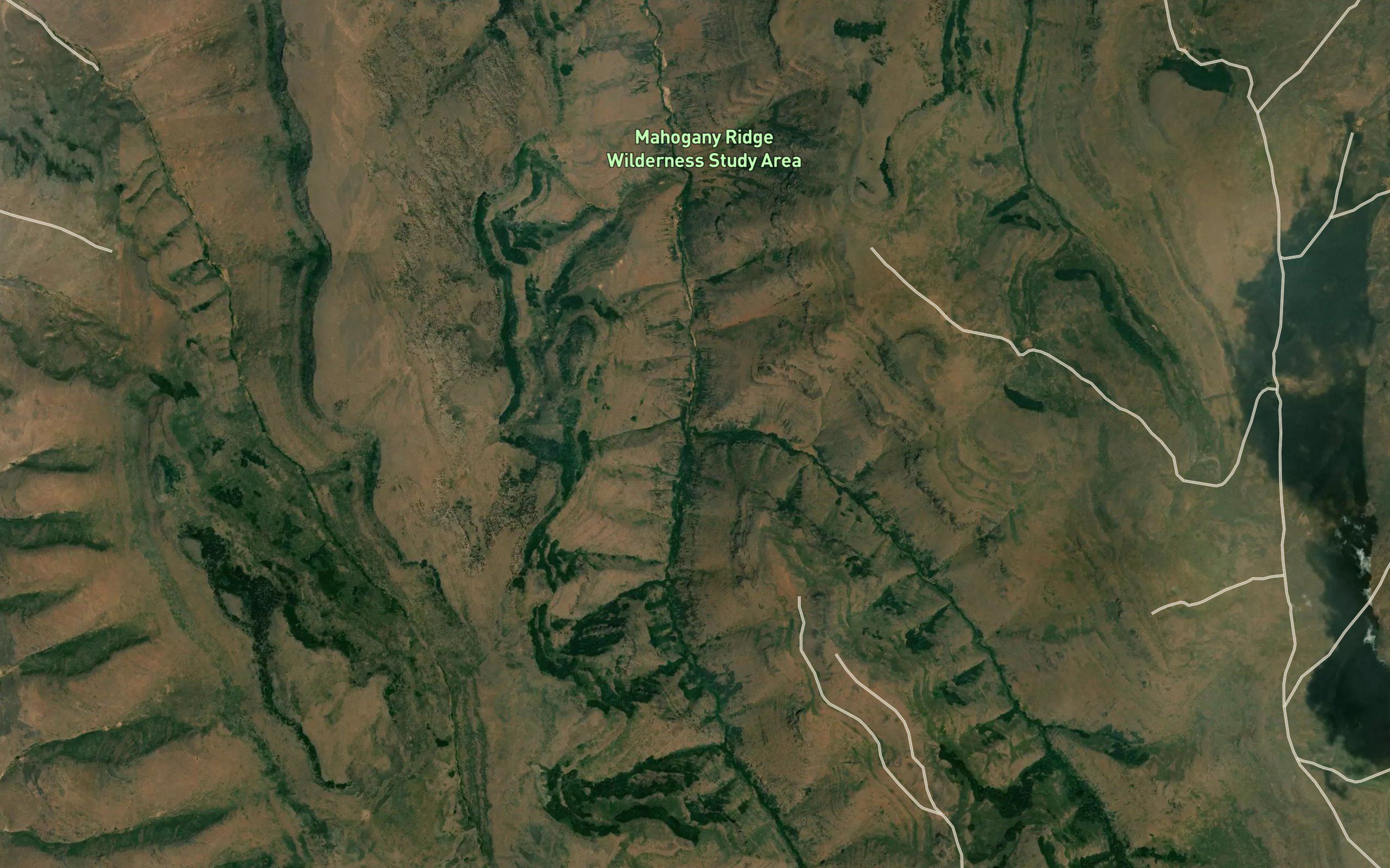 East Fork Big Trout Creek