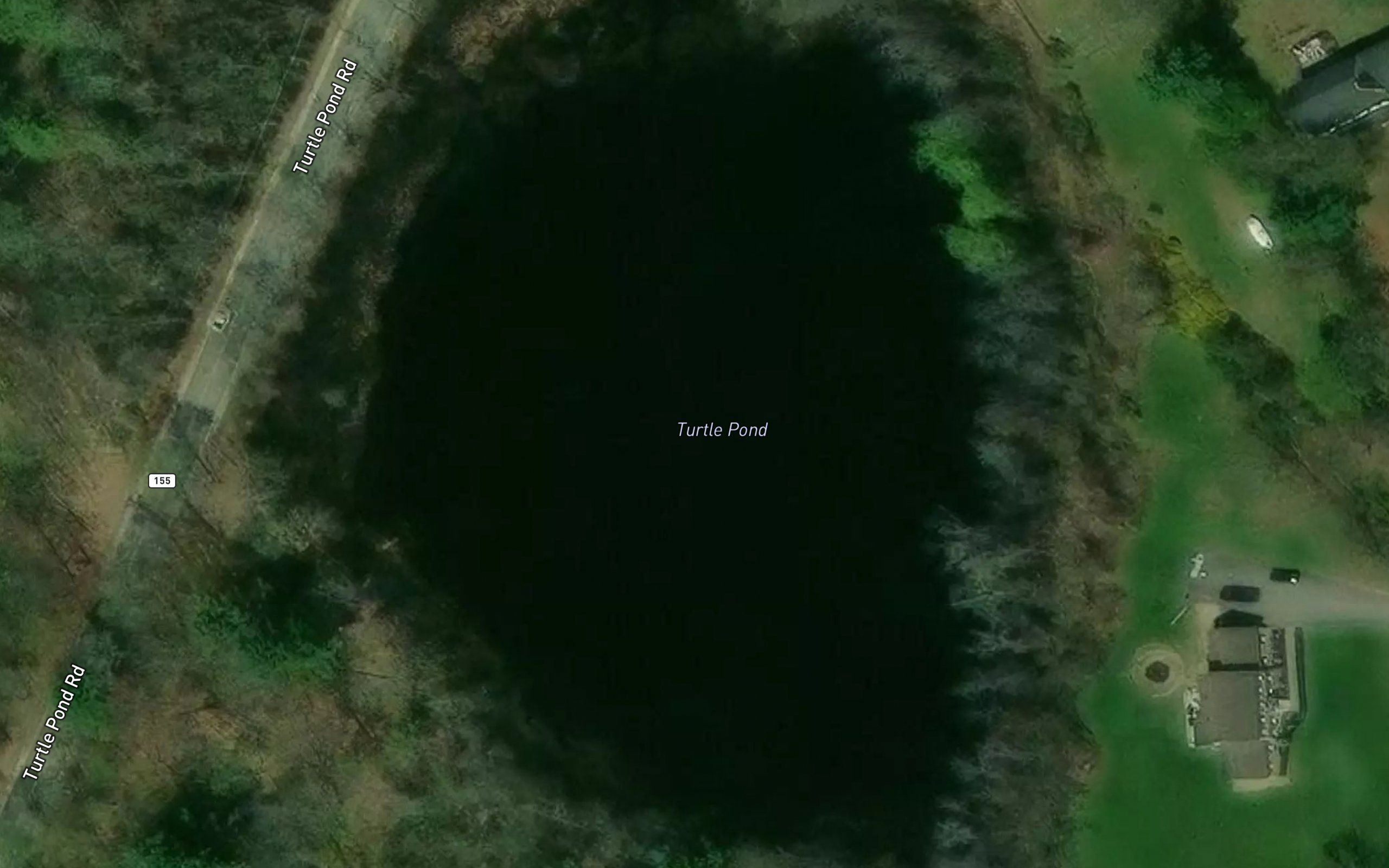 Turtle Pond