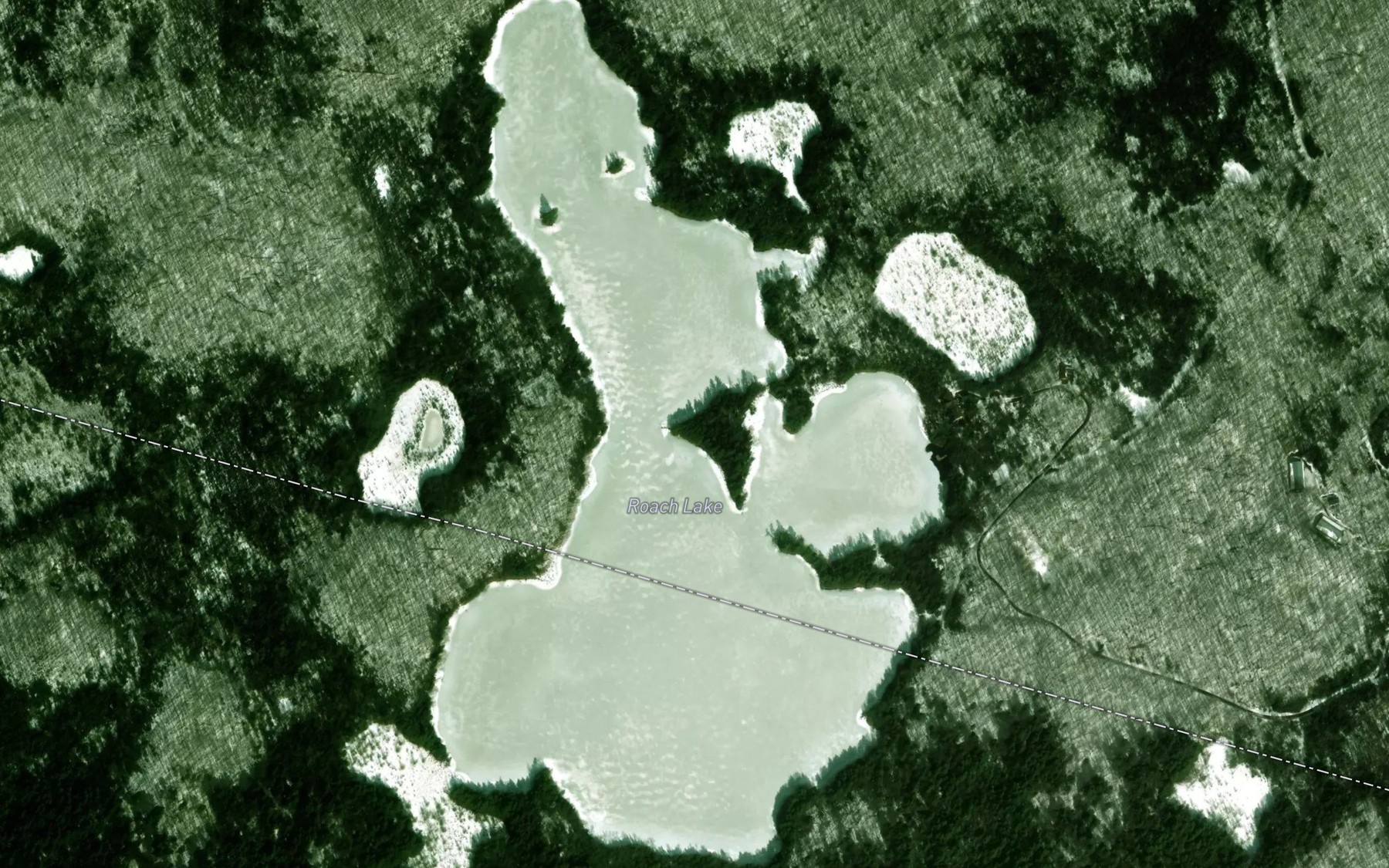 Satellite map of the Roach Lake