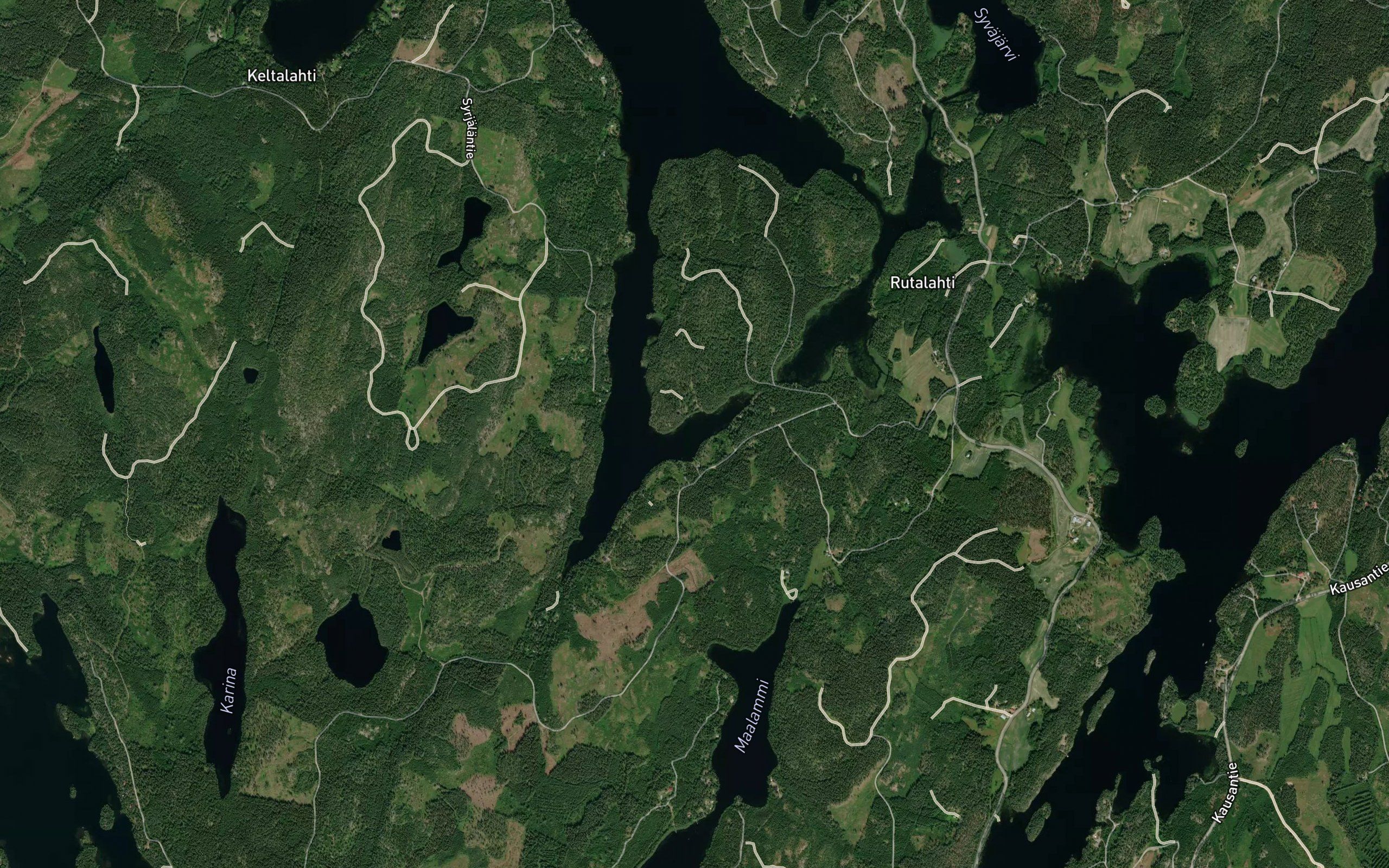 Salmenlaukunpohja