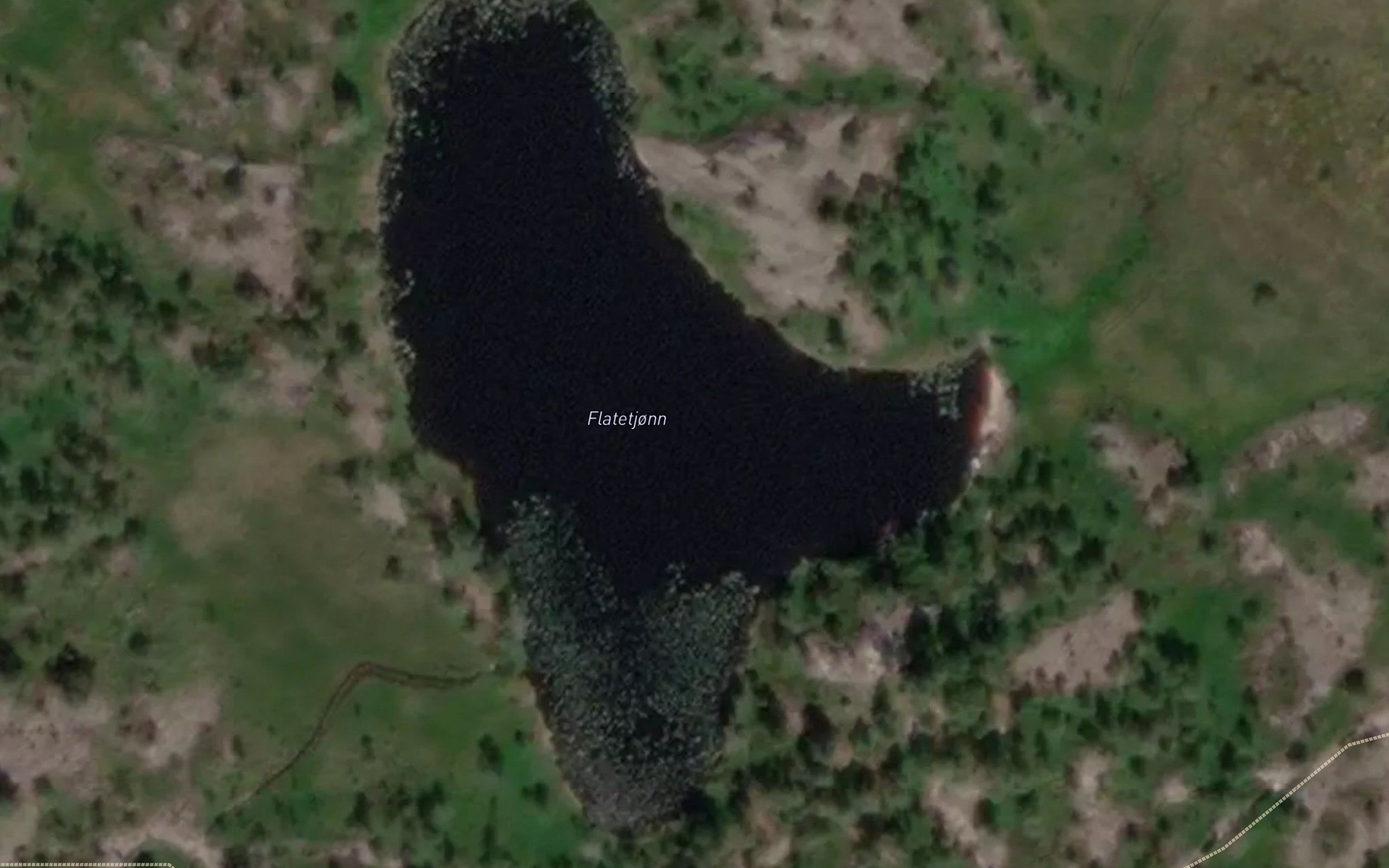 Flatetjonn