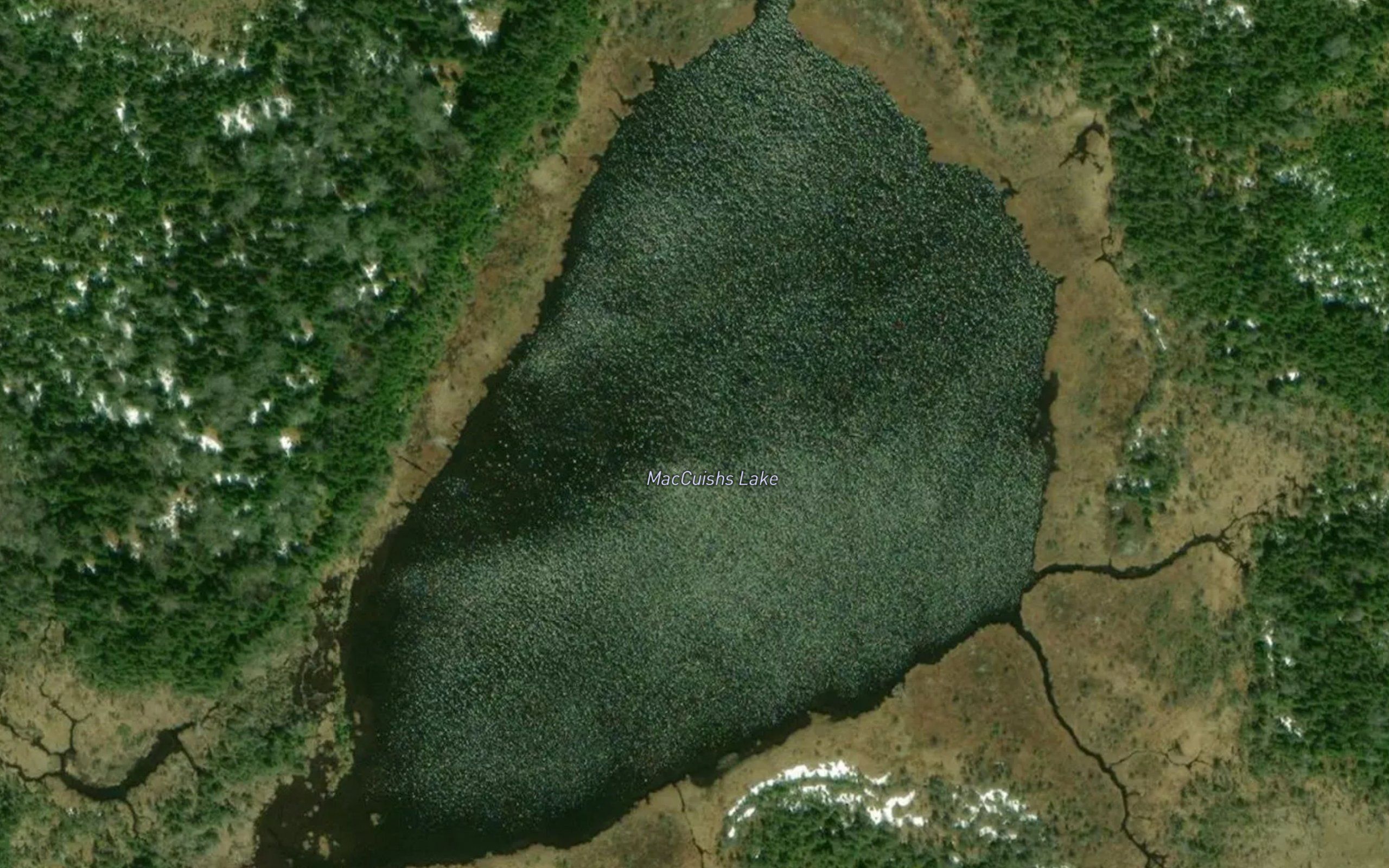 MacCuishs Lake