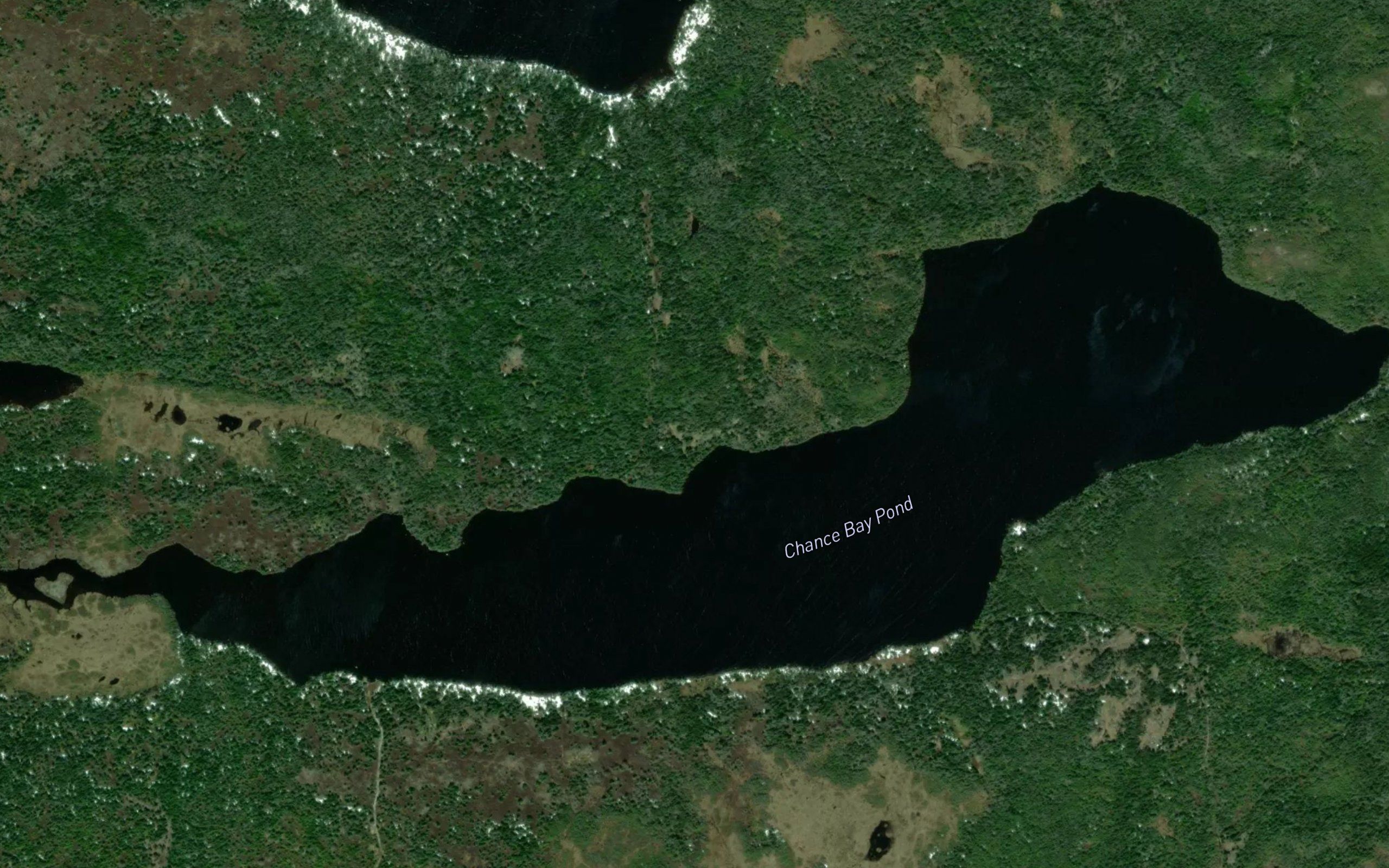 Chance Bay Pond
