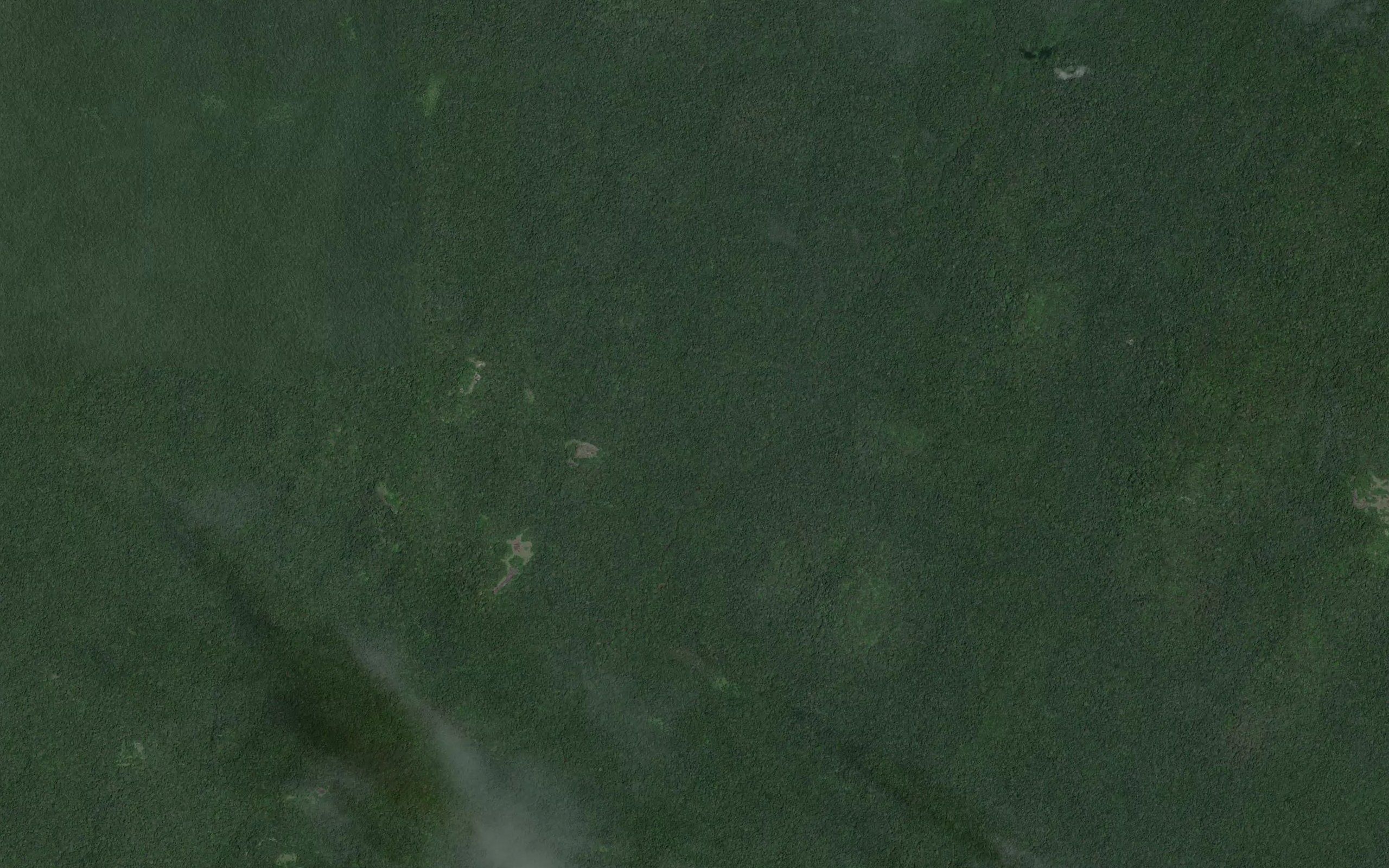 Mamasei
