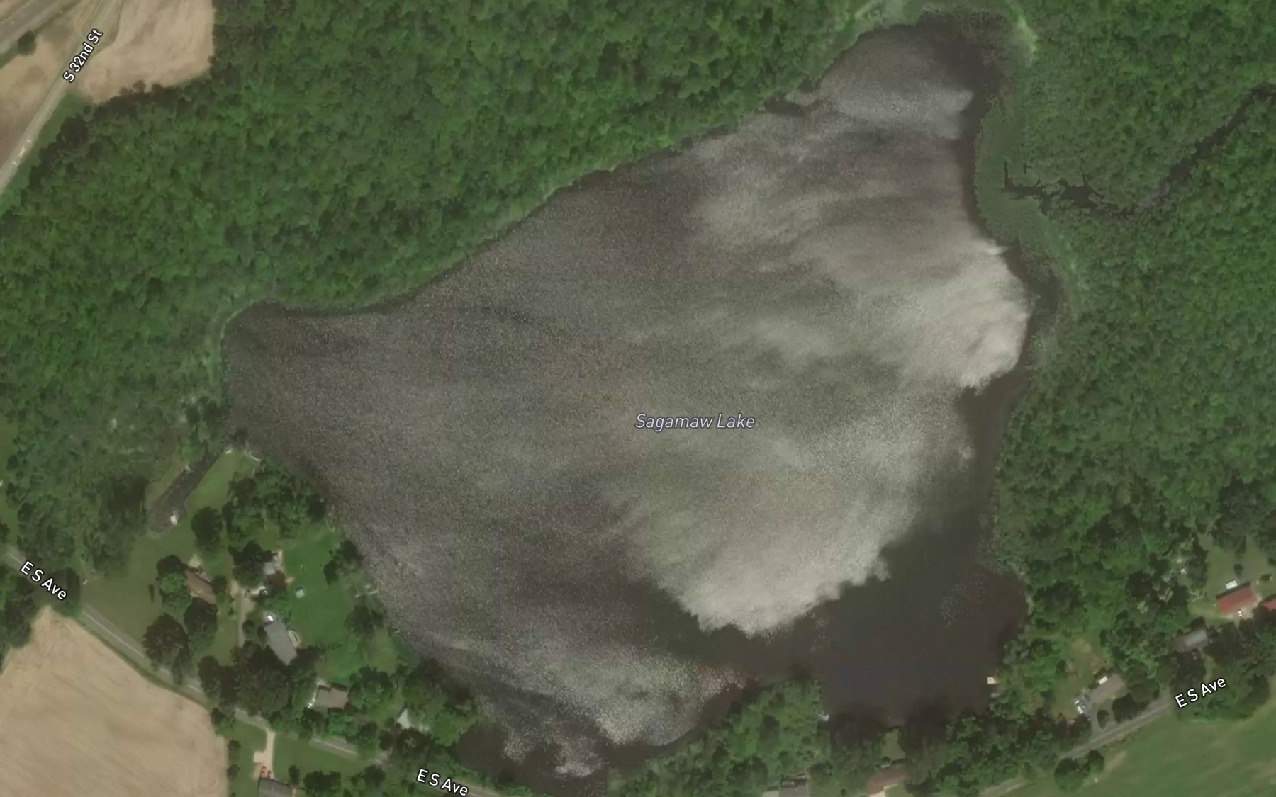 Satellite map of the Sagamaw Lake