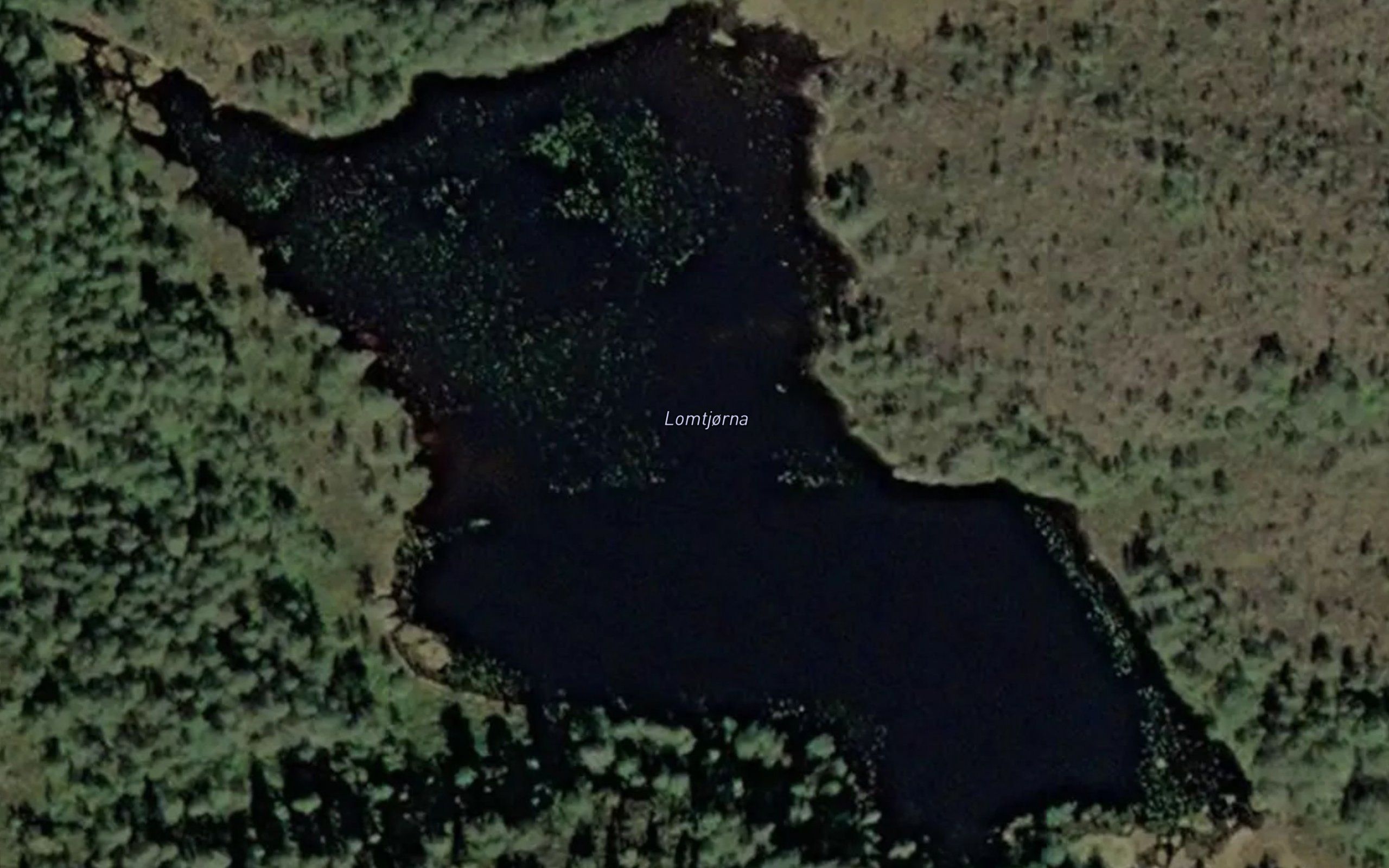 Lomtjorna