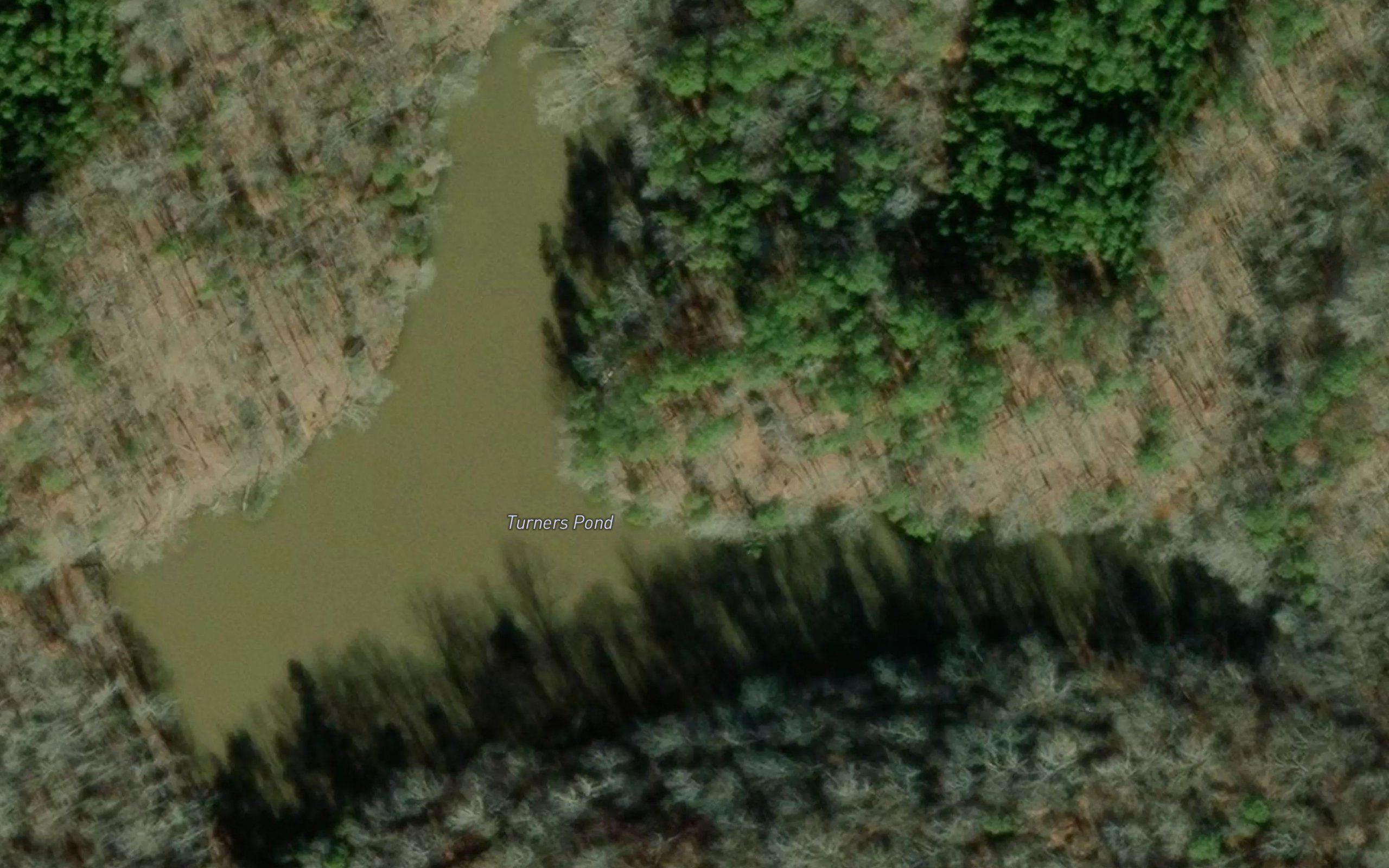 Turners Pond
