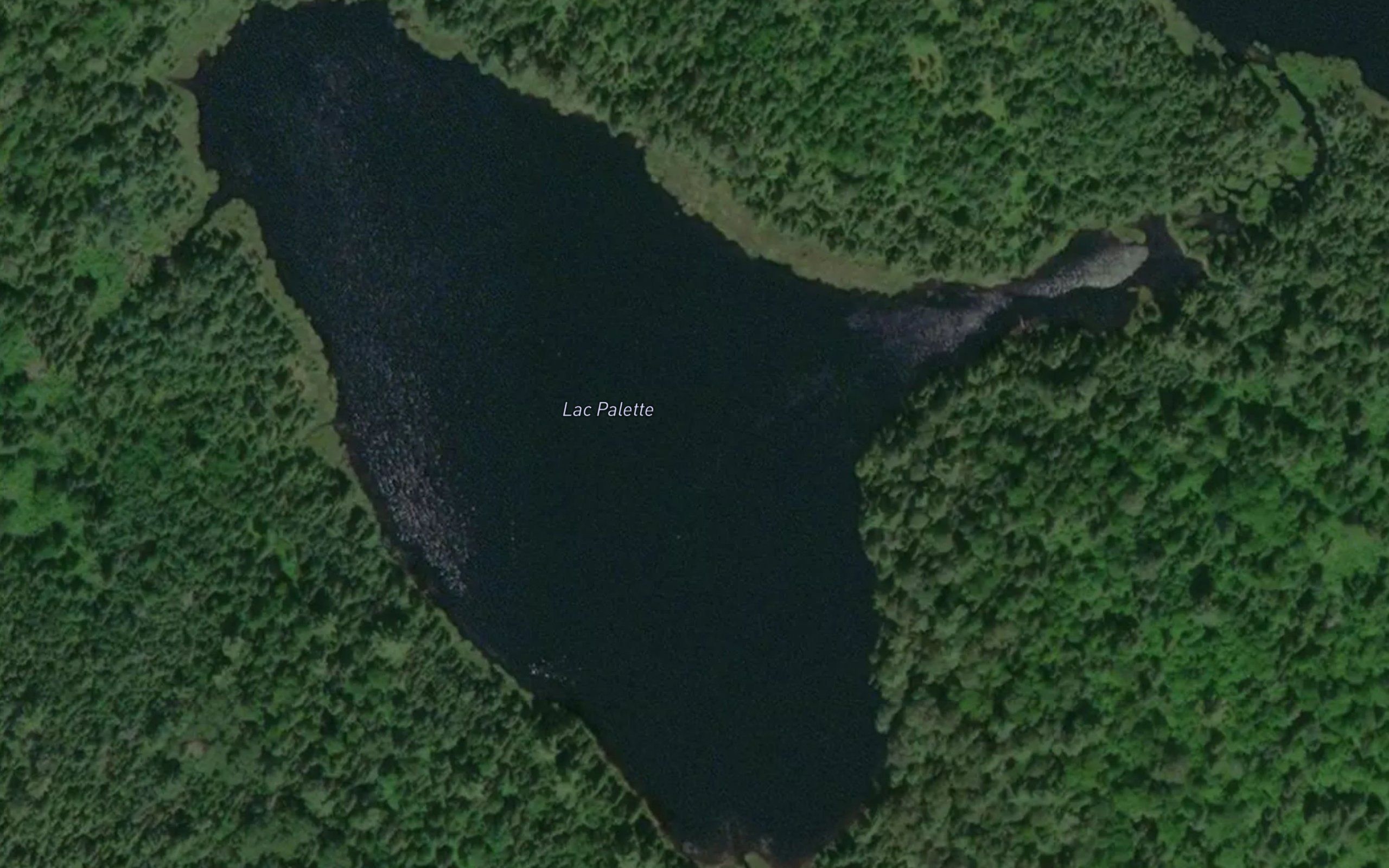 Lac Palette