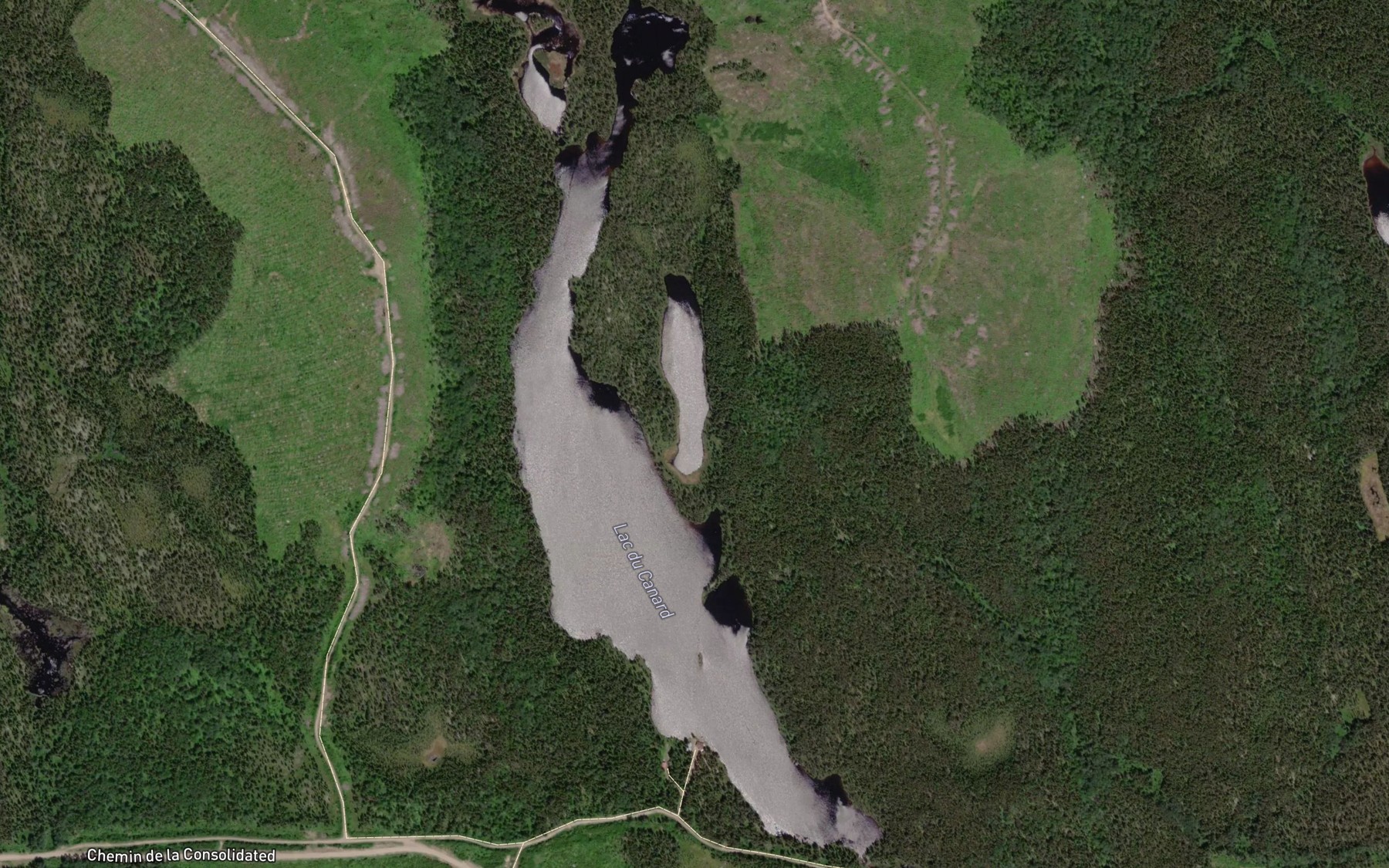 Satellite map of the Lac du Canard