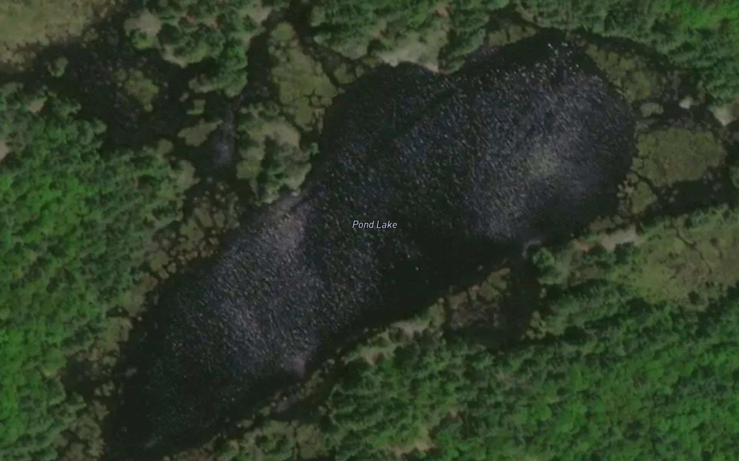 Pond Lake