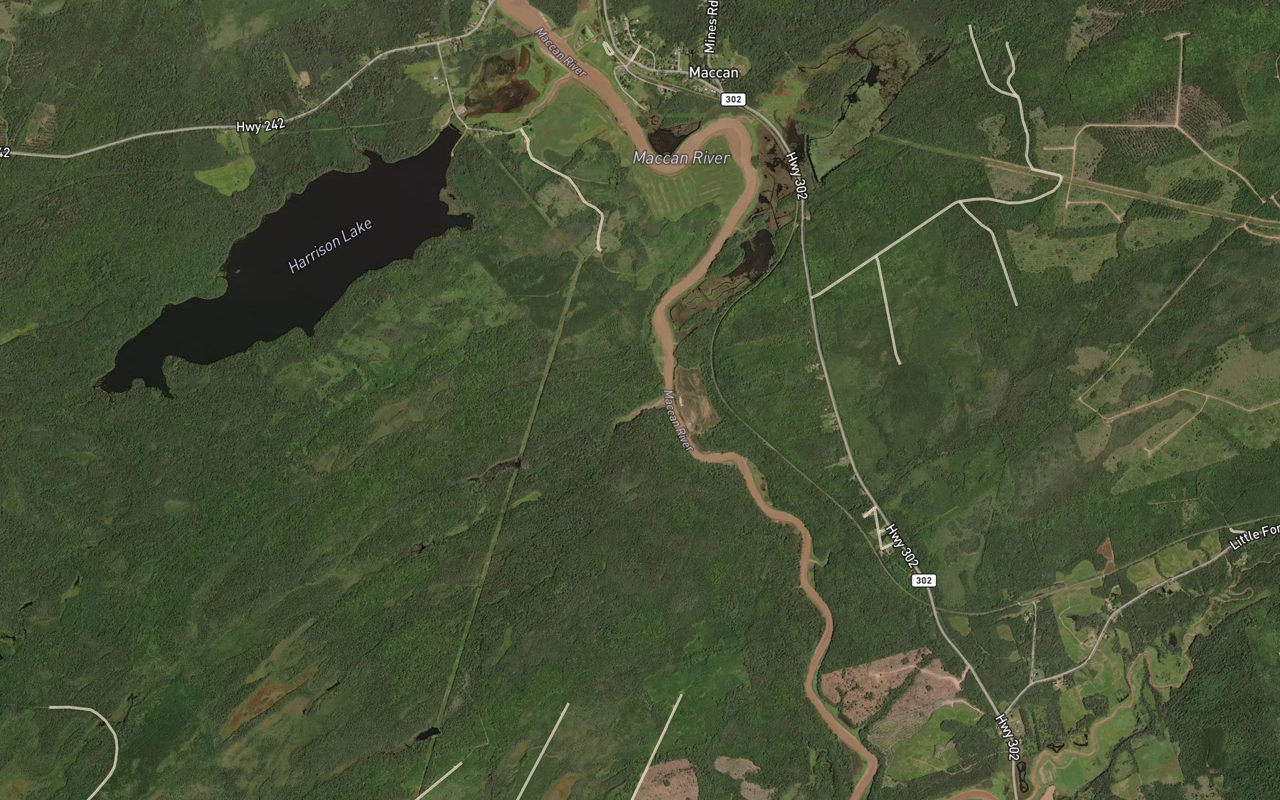 Satellite map of the Patton Creek