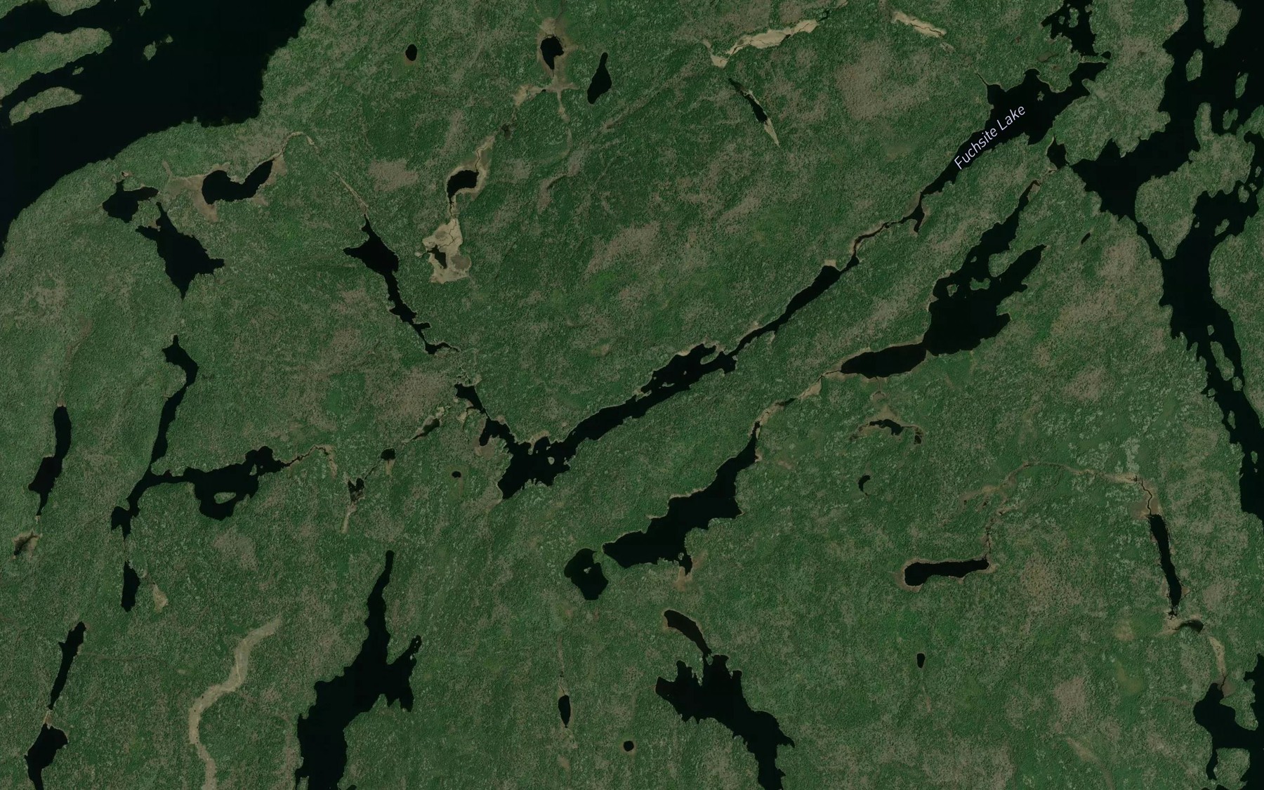 Satellite map of the Michell Lake