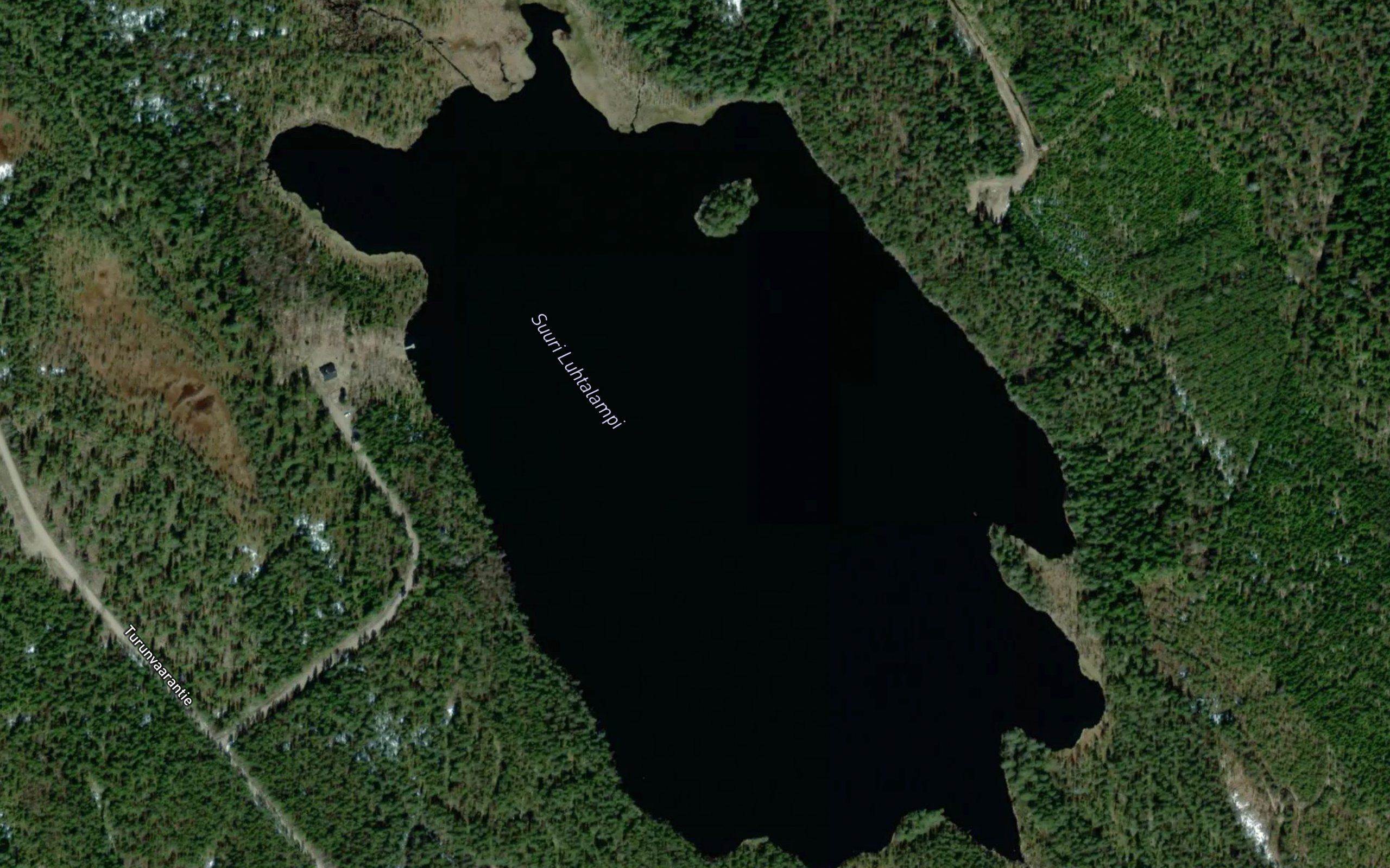 Suuri Luhtalampi