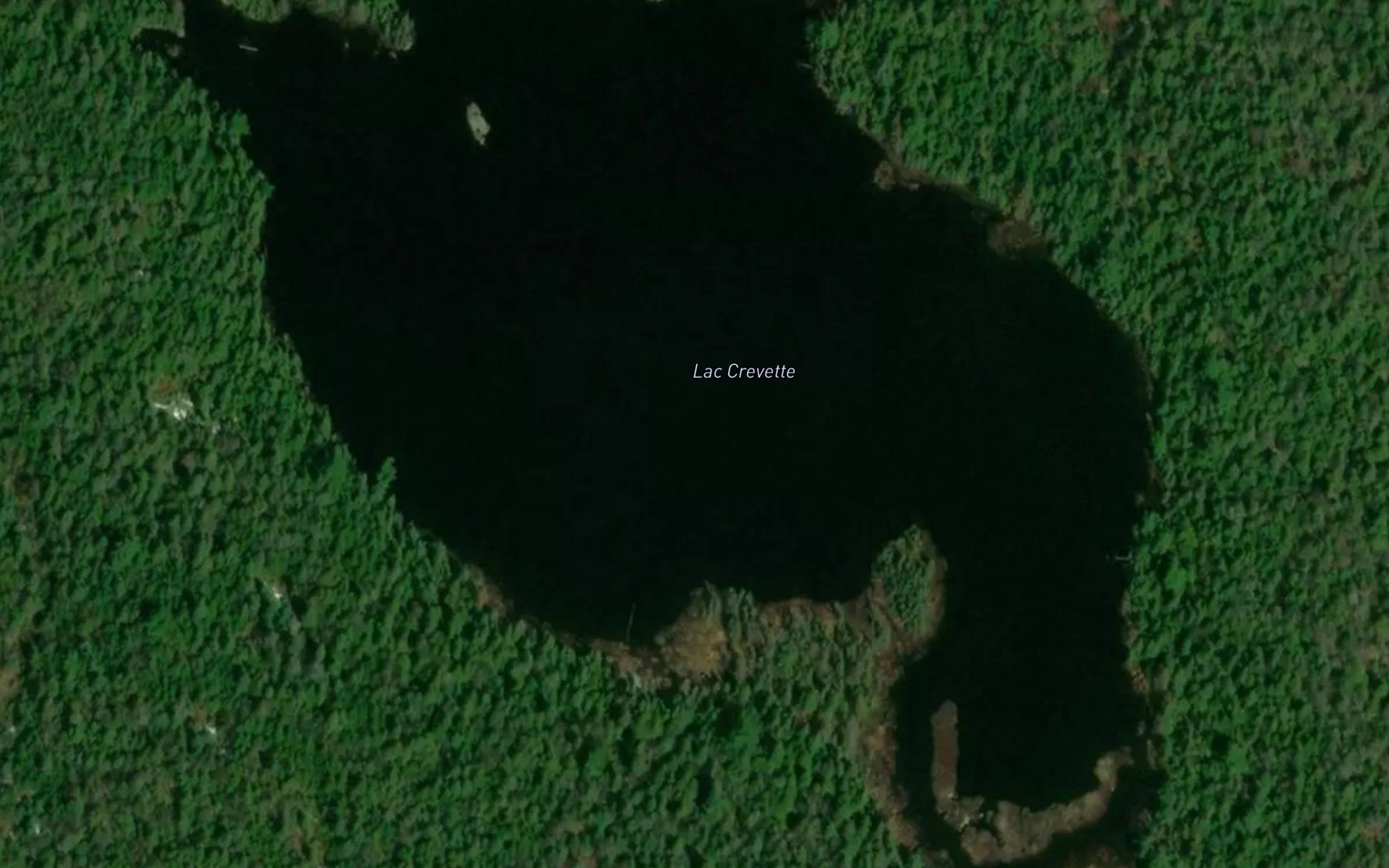 Lac Crevette