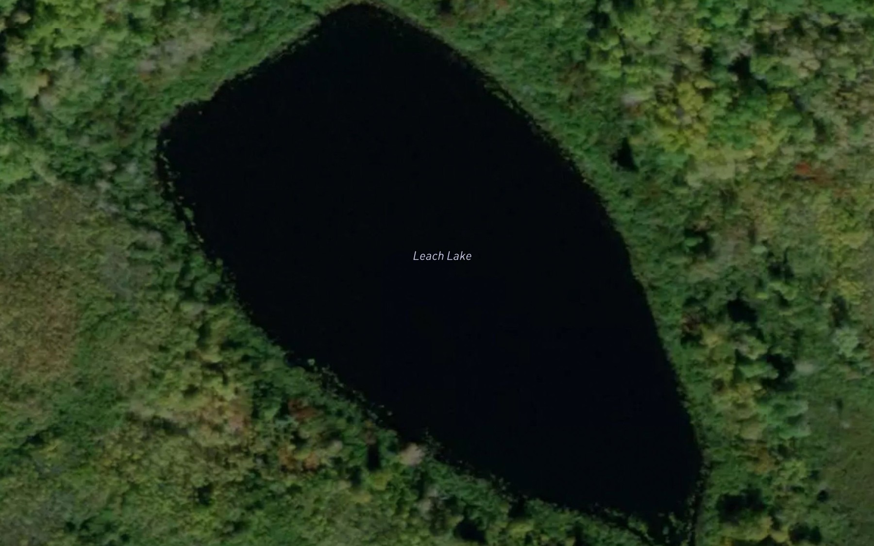 Satellite map of the Leach Lake