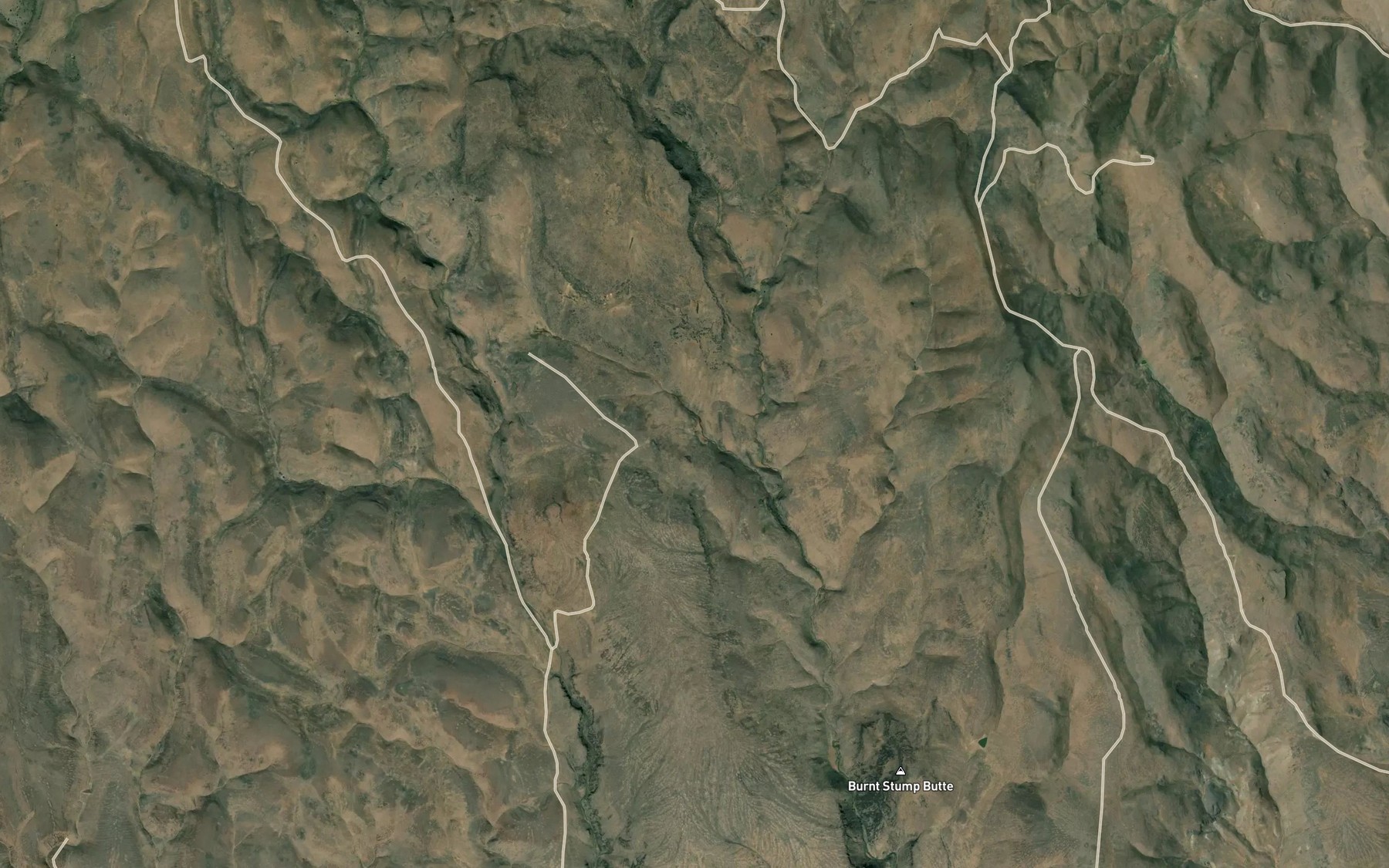 Satellite map of the Rattlesnake Spring