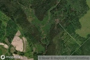 West Fork Dickey Brook