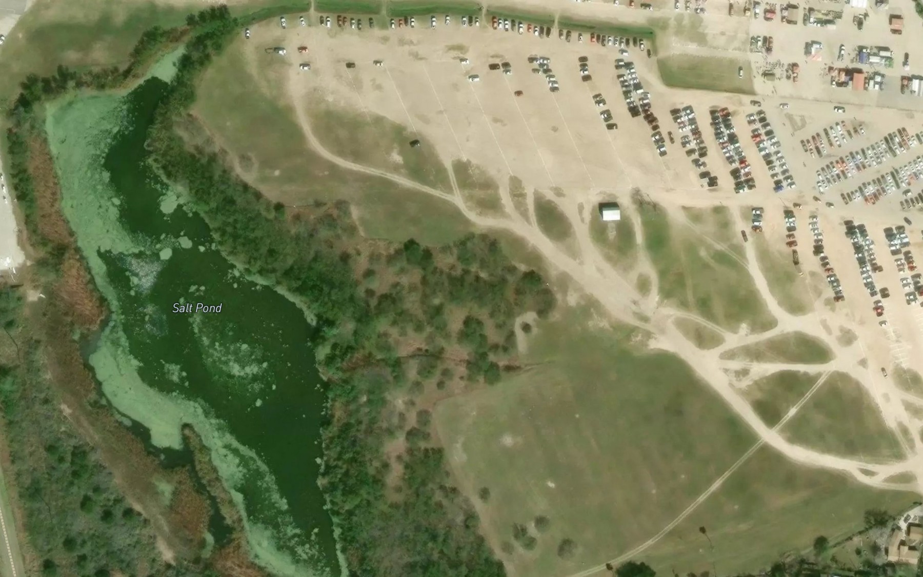 Satellite map of the Salt Pond