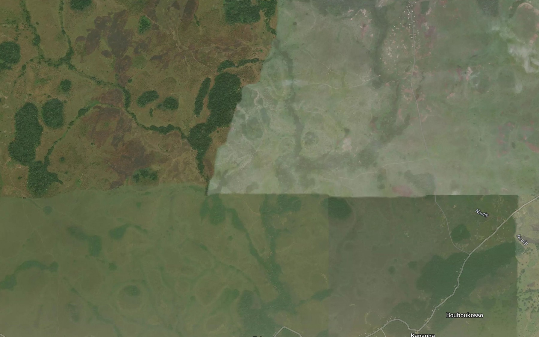 Satellite map of the Biania