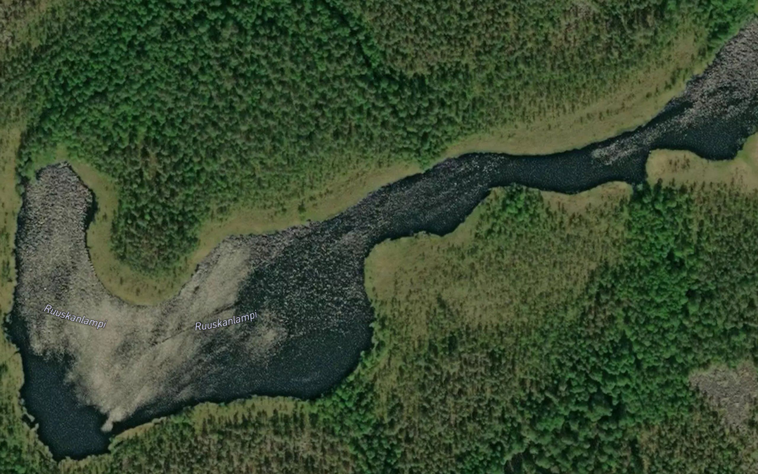 Ruuskanlampi