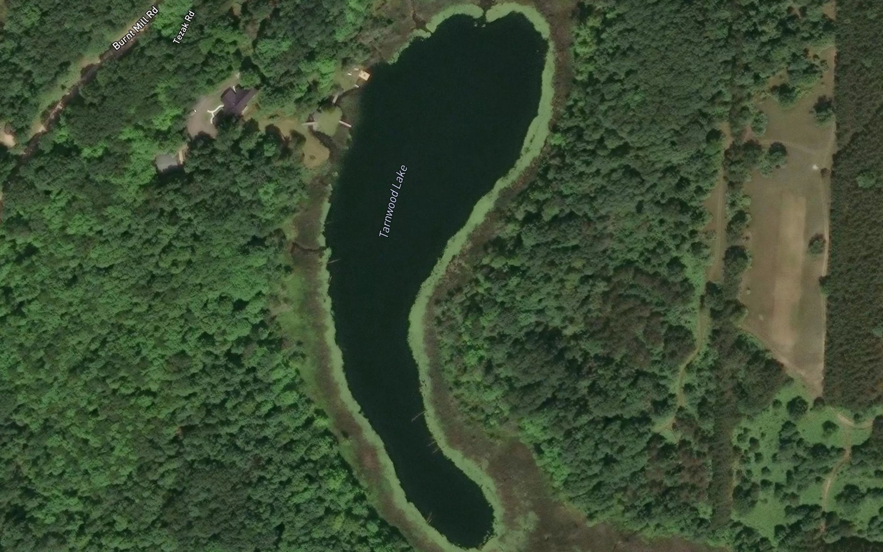 Satellite map of the Tarnwood Lake