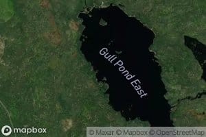 Gull Pond East
