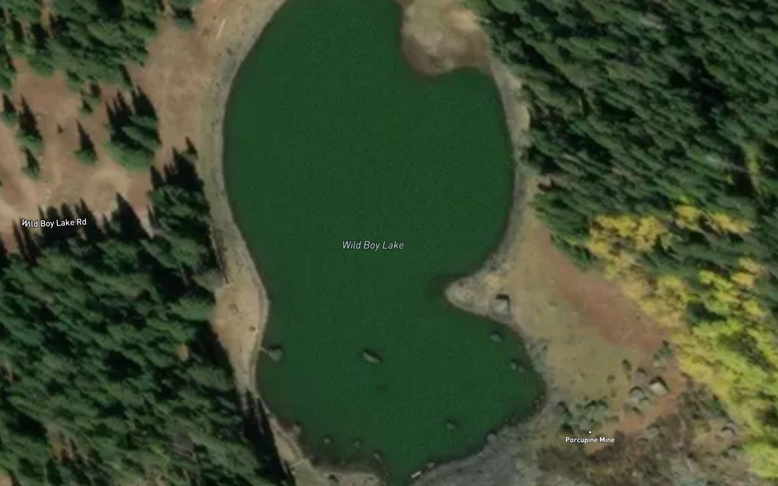 Wild Boy Lake