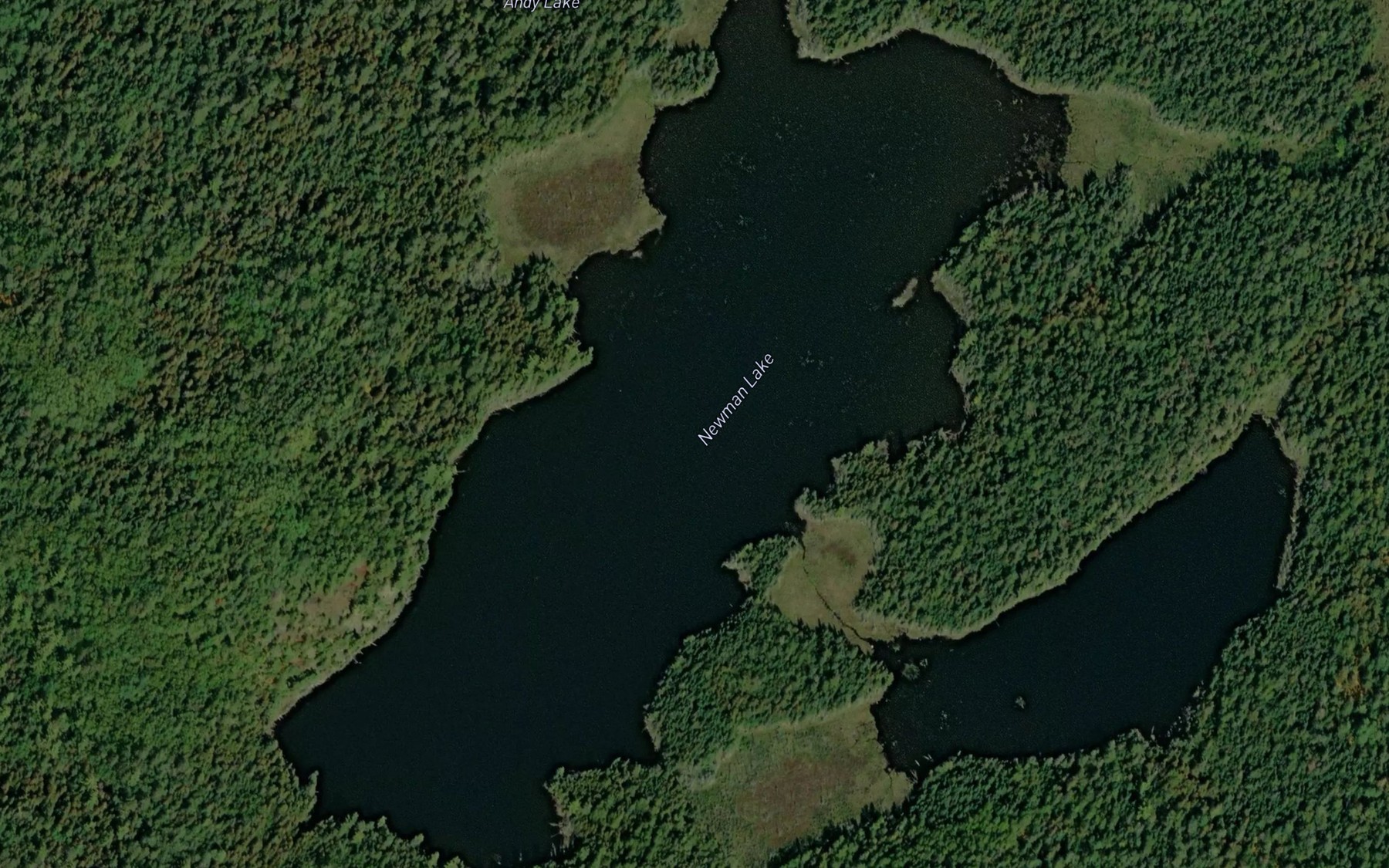 Satellite map of the Newman Lake