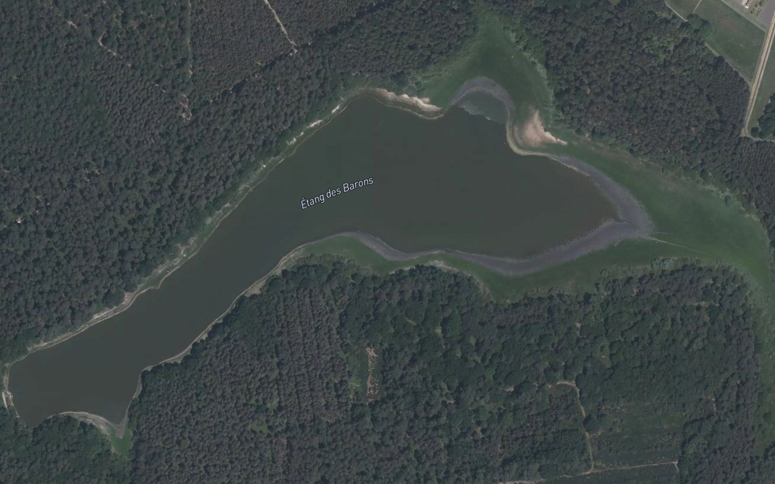 Etang des Barons