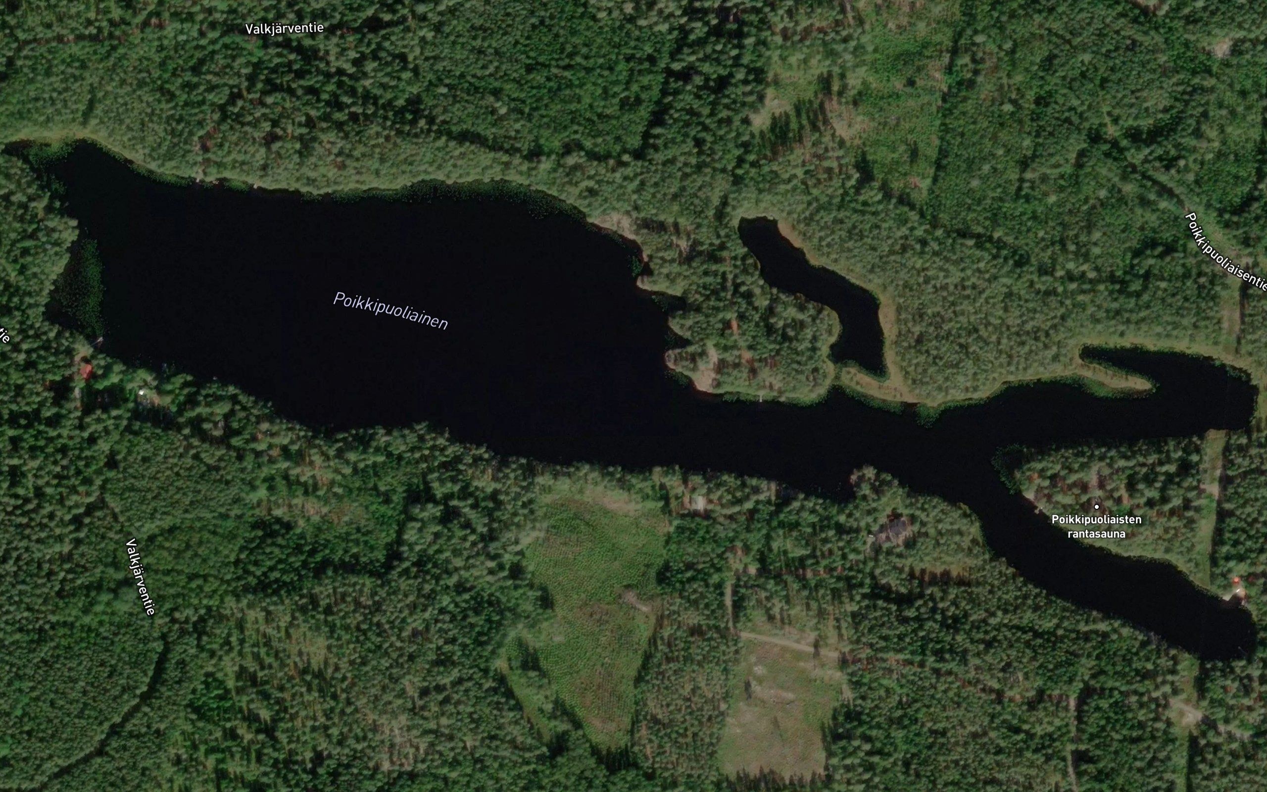 Poikkipuoliainen