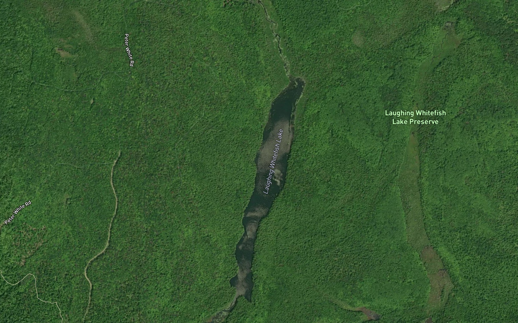 Satellite map of the Laughing Whitefish Lake