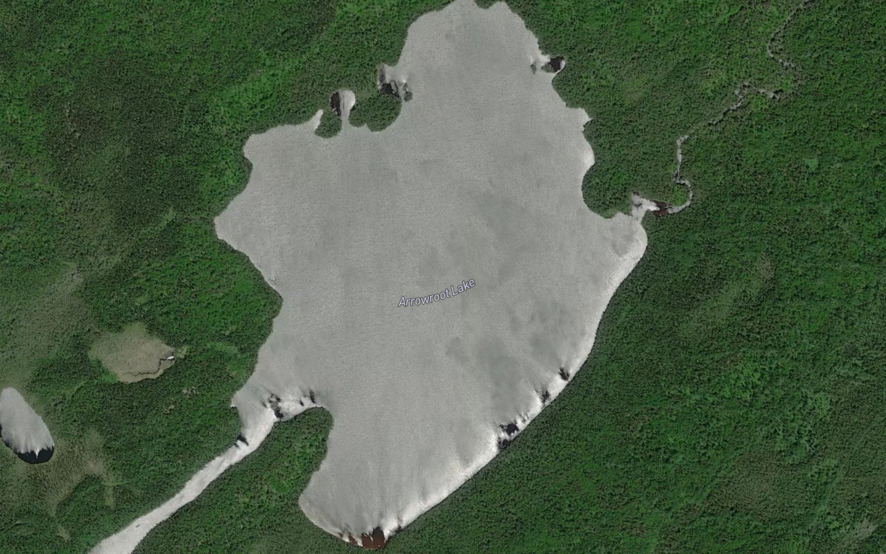 Satellite map of the Arrowroot Lake