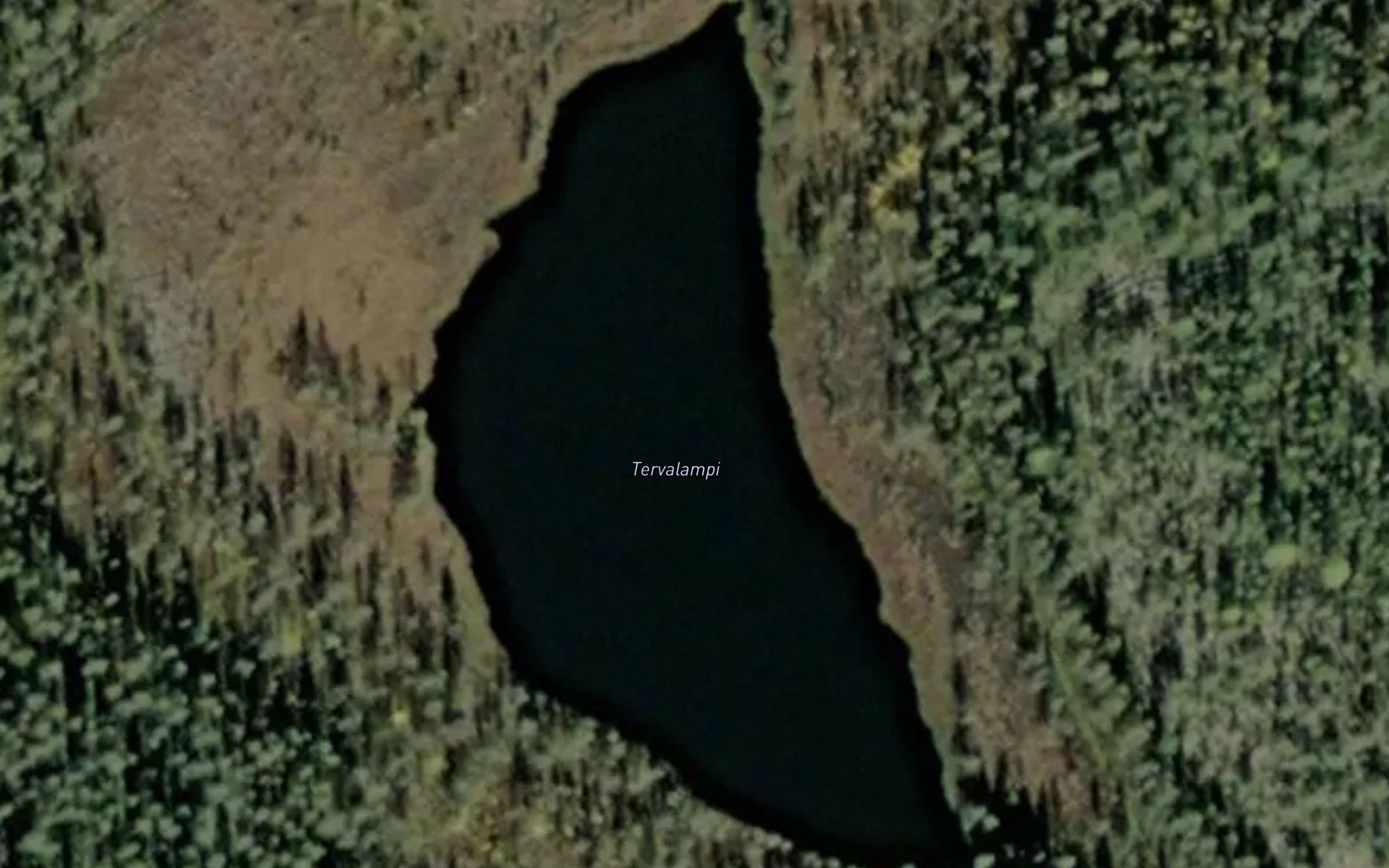 Tervalammit