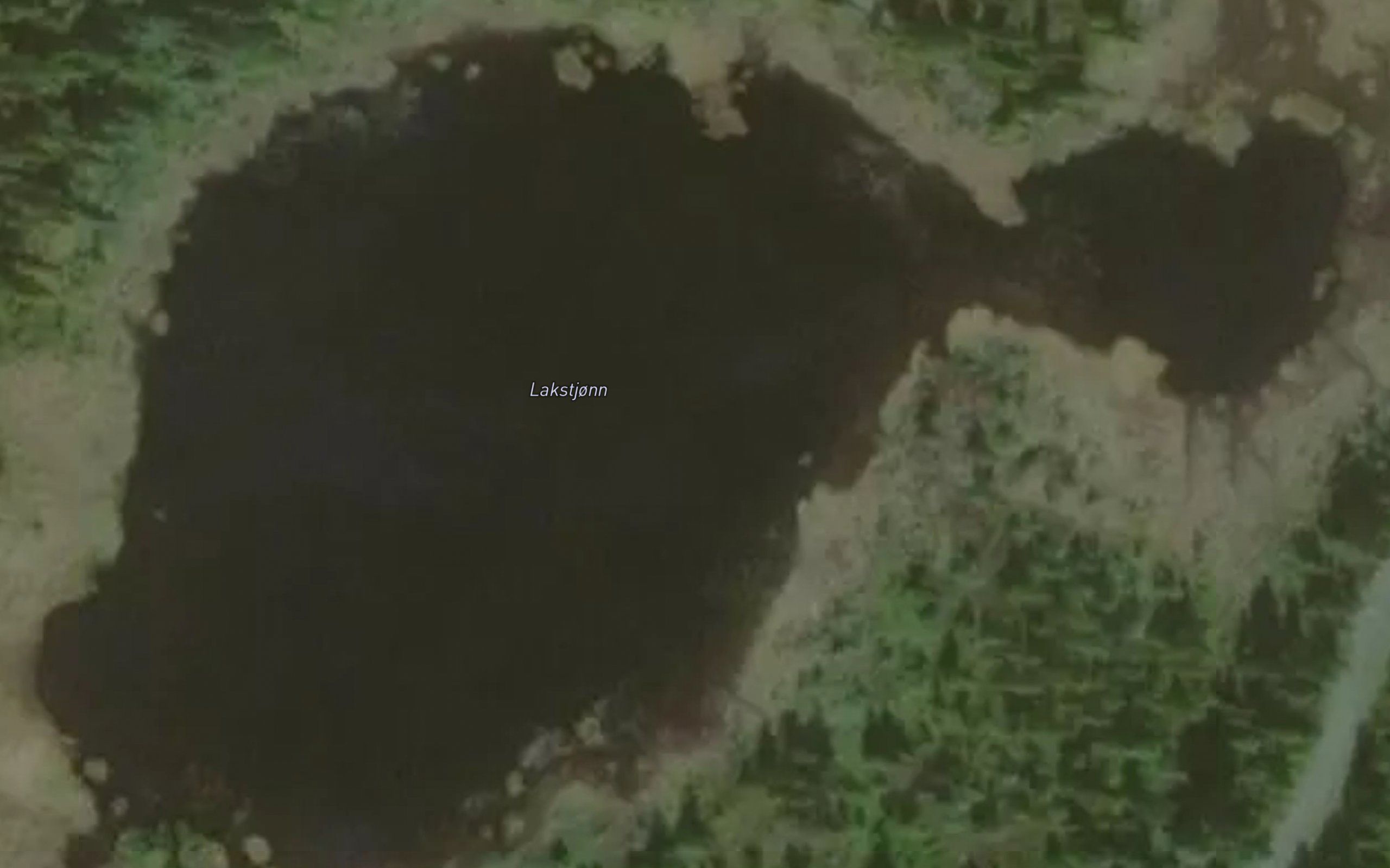 Lakstjonn