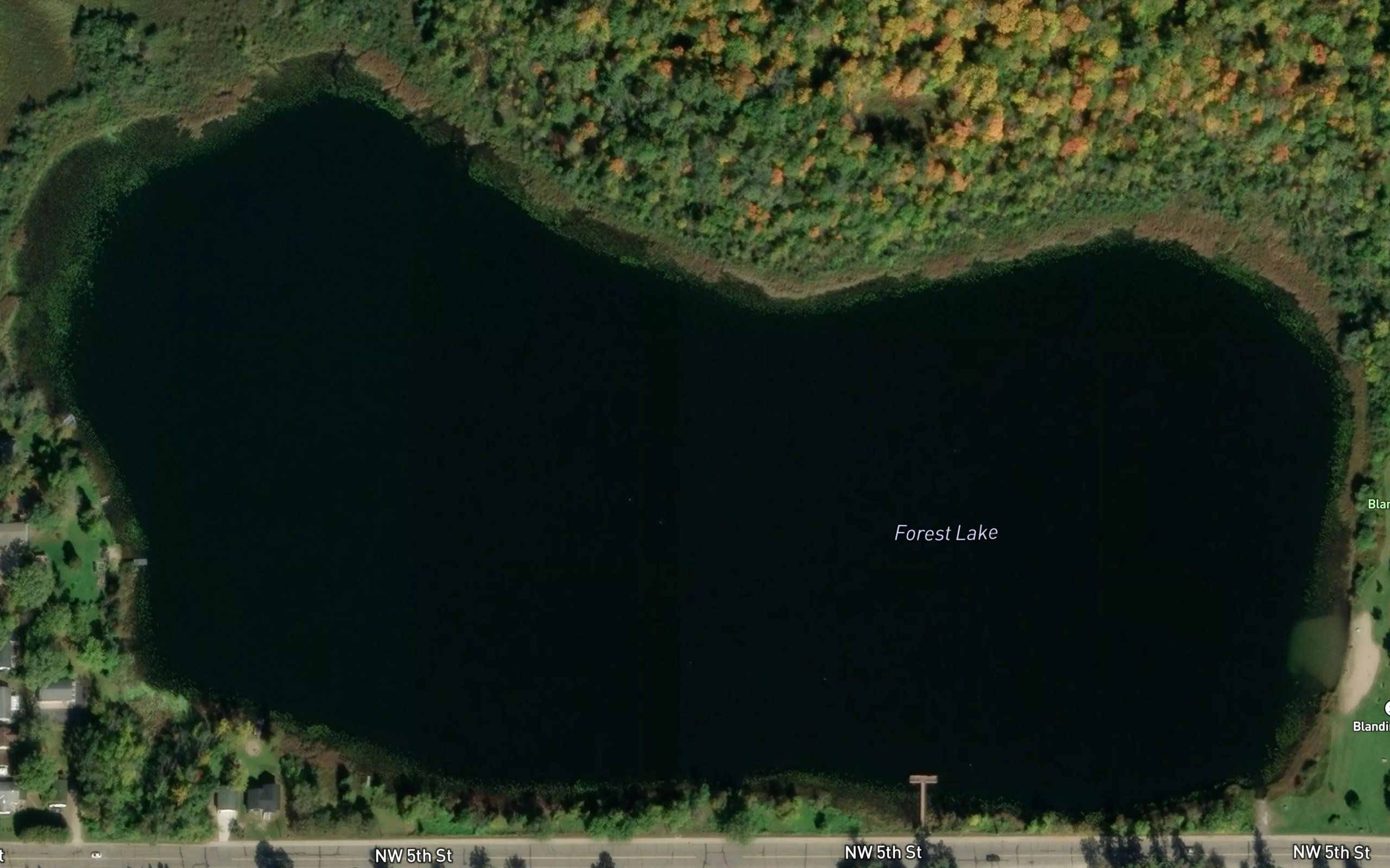 Forest Lake